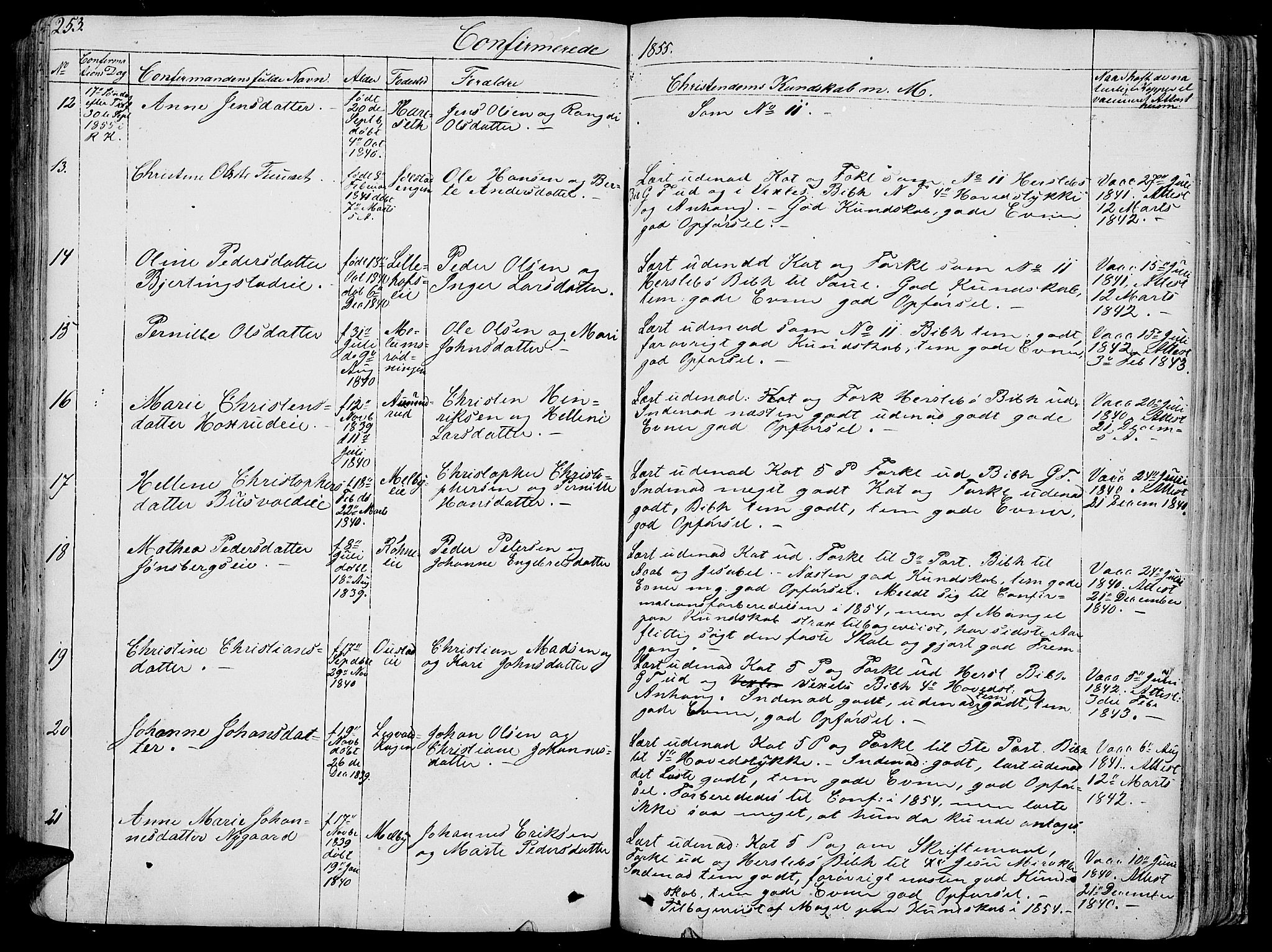 Romedal prestekontor, SAH/PREST-004/L/L0009: Parish register (copy) no. 9, 1846-1866, p. 253