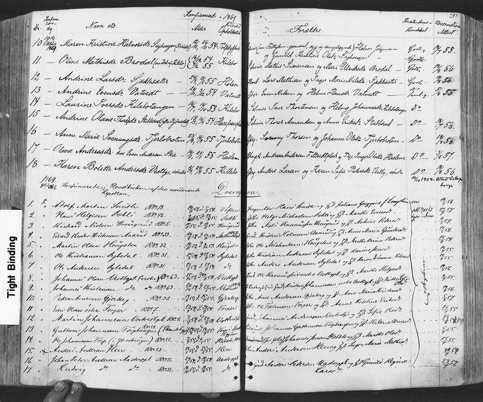 Rakkestad prestekontor Kirkebøker, AV/SAO-A-2008/F/Fa/L0011: Parish register (official) no. I 11, 1862-1877, p. 243