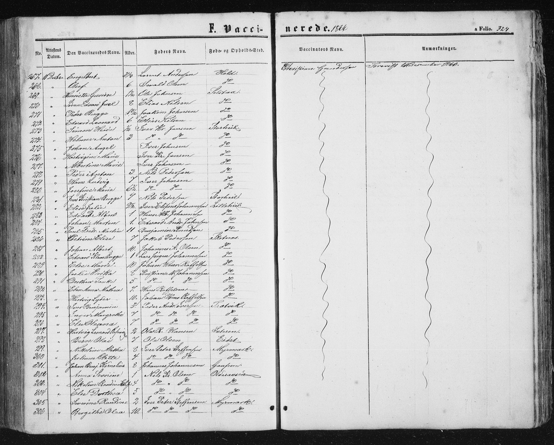 Ministerialprotokoller, klokkerbøker og fødselsregistre - Nordland, AV/SAT-A-1459/810/L0158: Parish register (copy) no. 810C02 /1, 1863-1883, p. 324