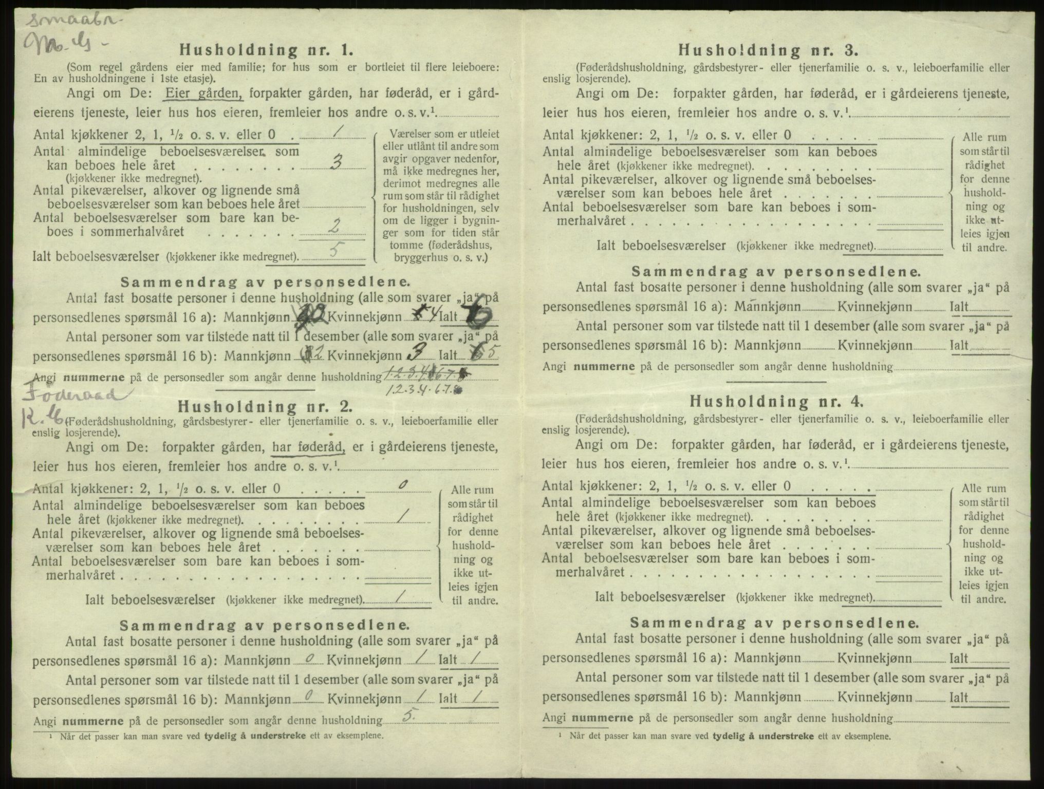 SAB, 1920 census for Leikanger, 1920, p. 863