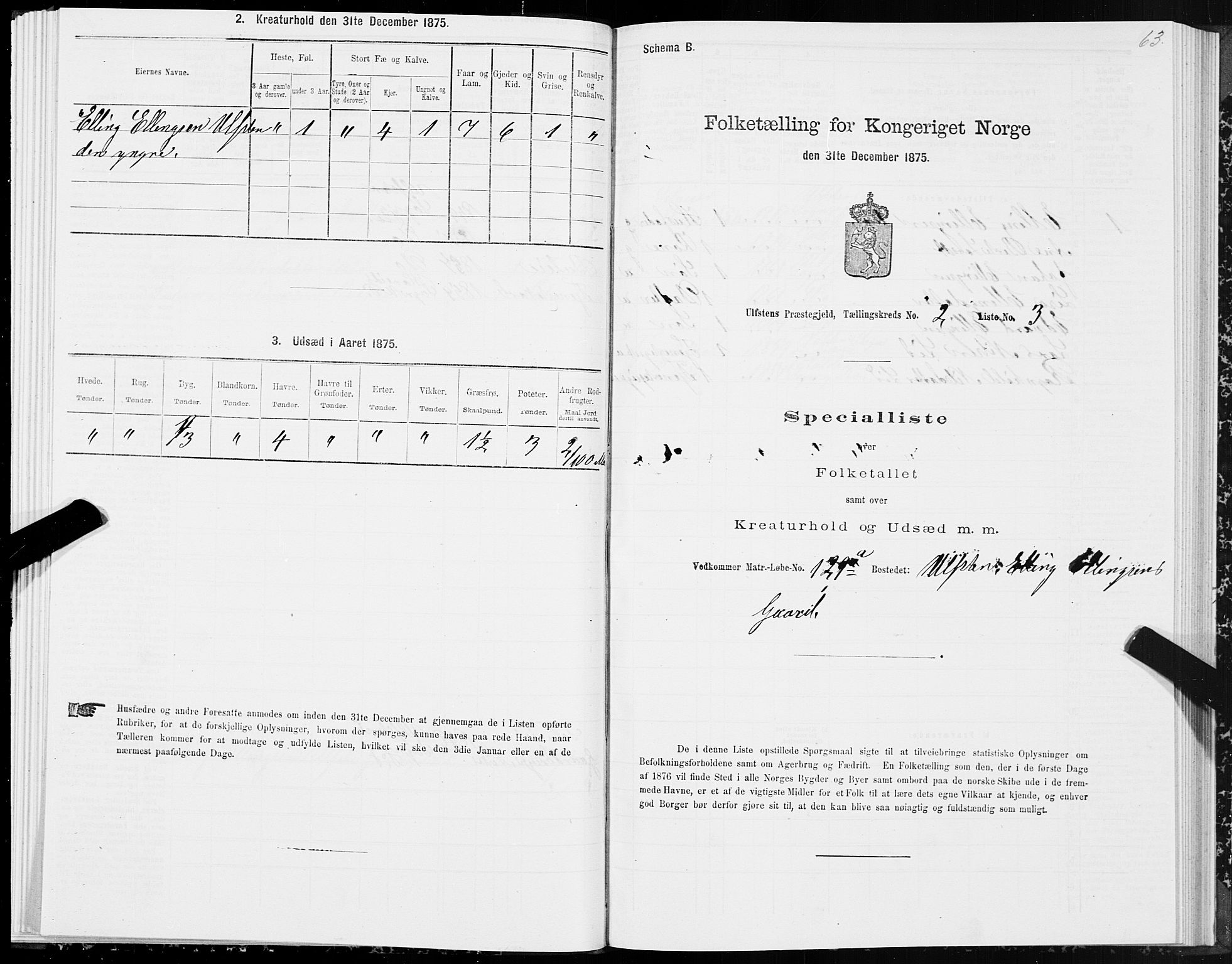 SAT, 1875 census for 1516P Ulstein, 1875, p. 1063