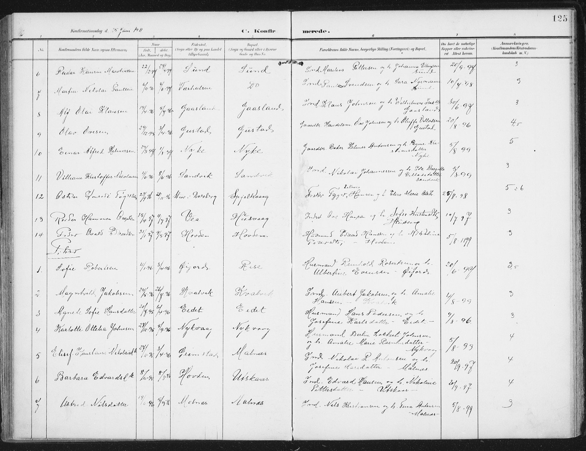 Ministerialprotokoller, klokkerbøker og fødselsregistre - Nordland, SAT/A-1459/892/L1321: Parish register (official) no. 892A02, 1902-1918, p. 125