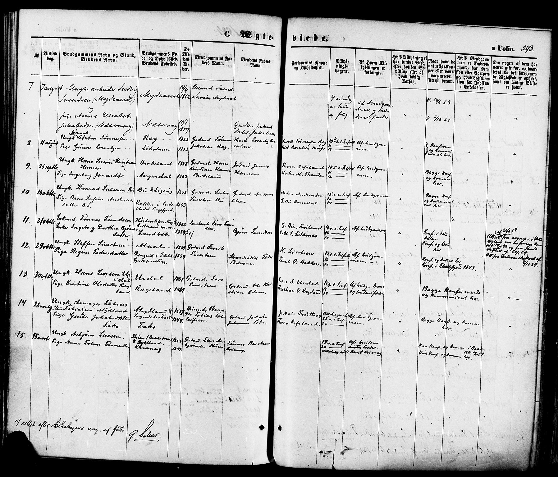 Sokndal sokneprestkontor, AV/SAST-A-101808: Parish register (official) no. A 10, 1874-1886, p. 293