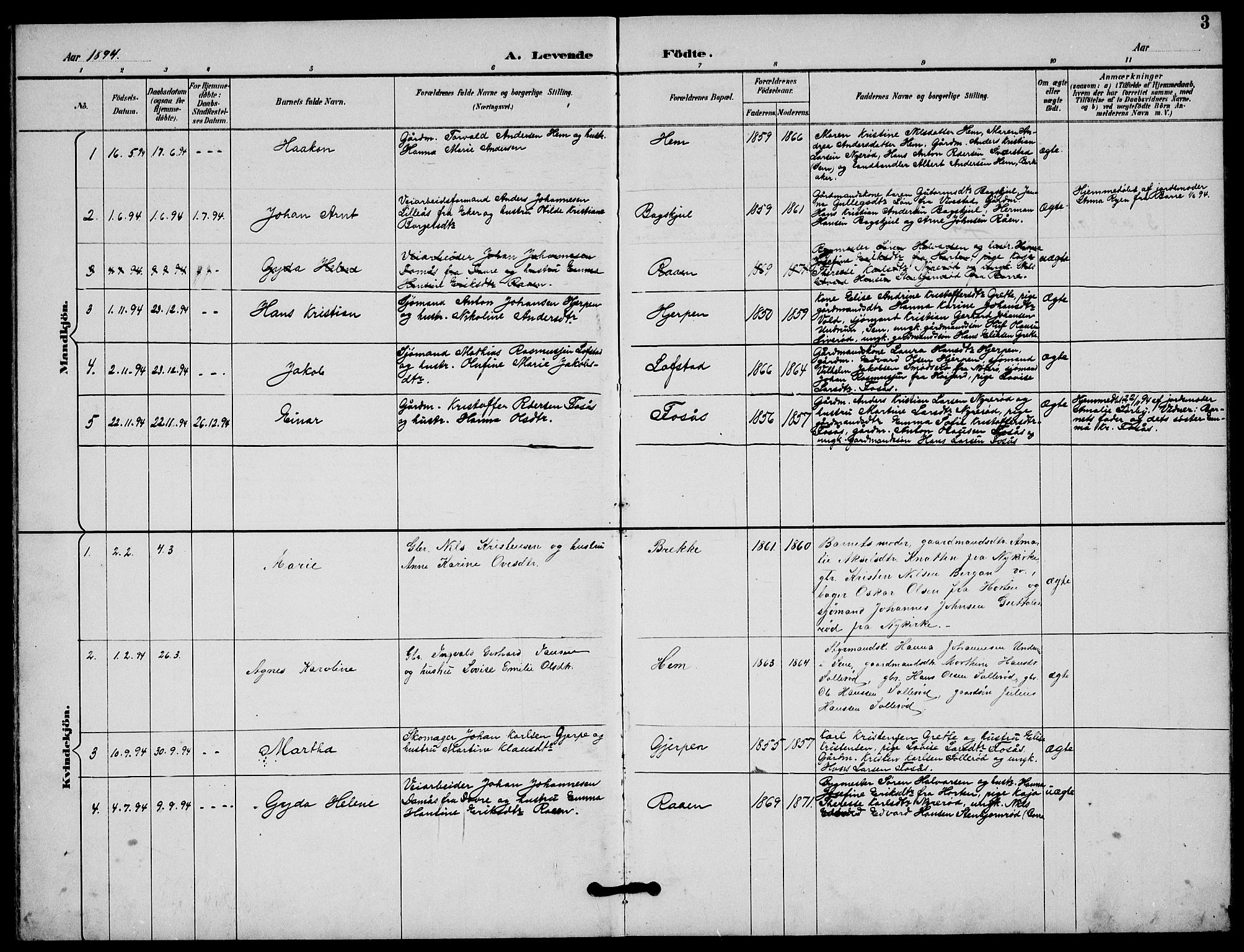 Våle kirkebøker, AV/SAKO-A-334/G/Gb/L0002: Parish register (copy) no. II 2, 1892-1936, p. 3