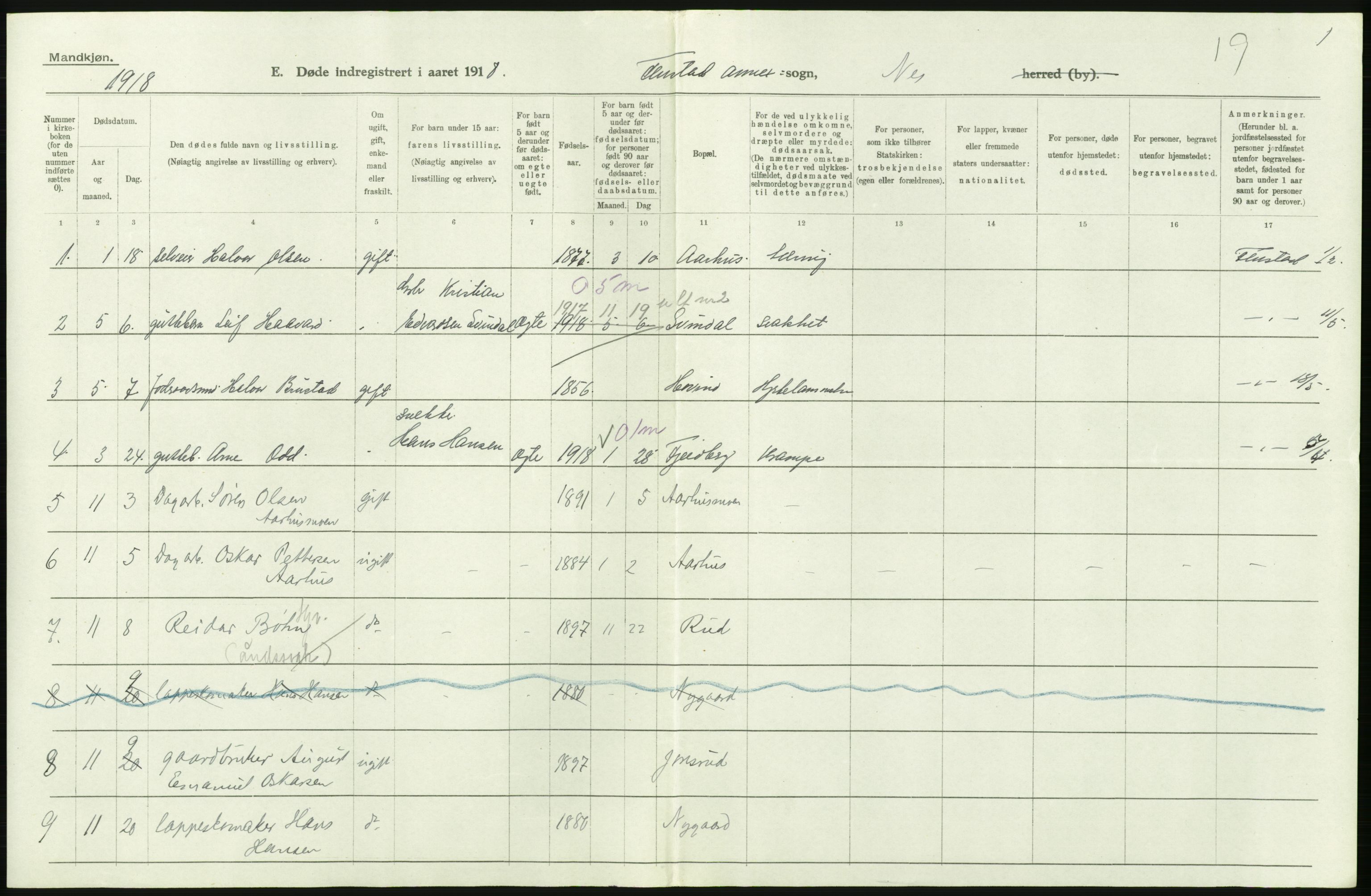 Statistisk sentralbyrå, Sosiodemografiske emner, Befolkning, AV/RA-S-2228/D/Df/Dfb/Dfbh/L0006: Akershus fylke: Døde. Bygder og byer., 1918, p. 310