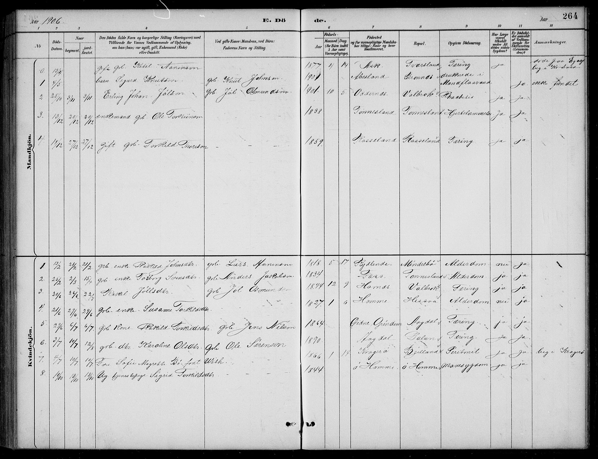 Bjelland sokneprestkontor, AV/SAK-1111-0005/F/Fb/Fba/L0005: Parish register (copy) no. B 5, 1887-1923, p. 264