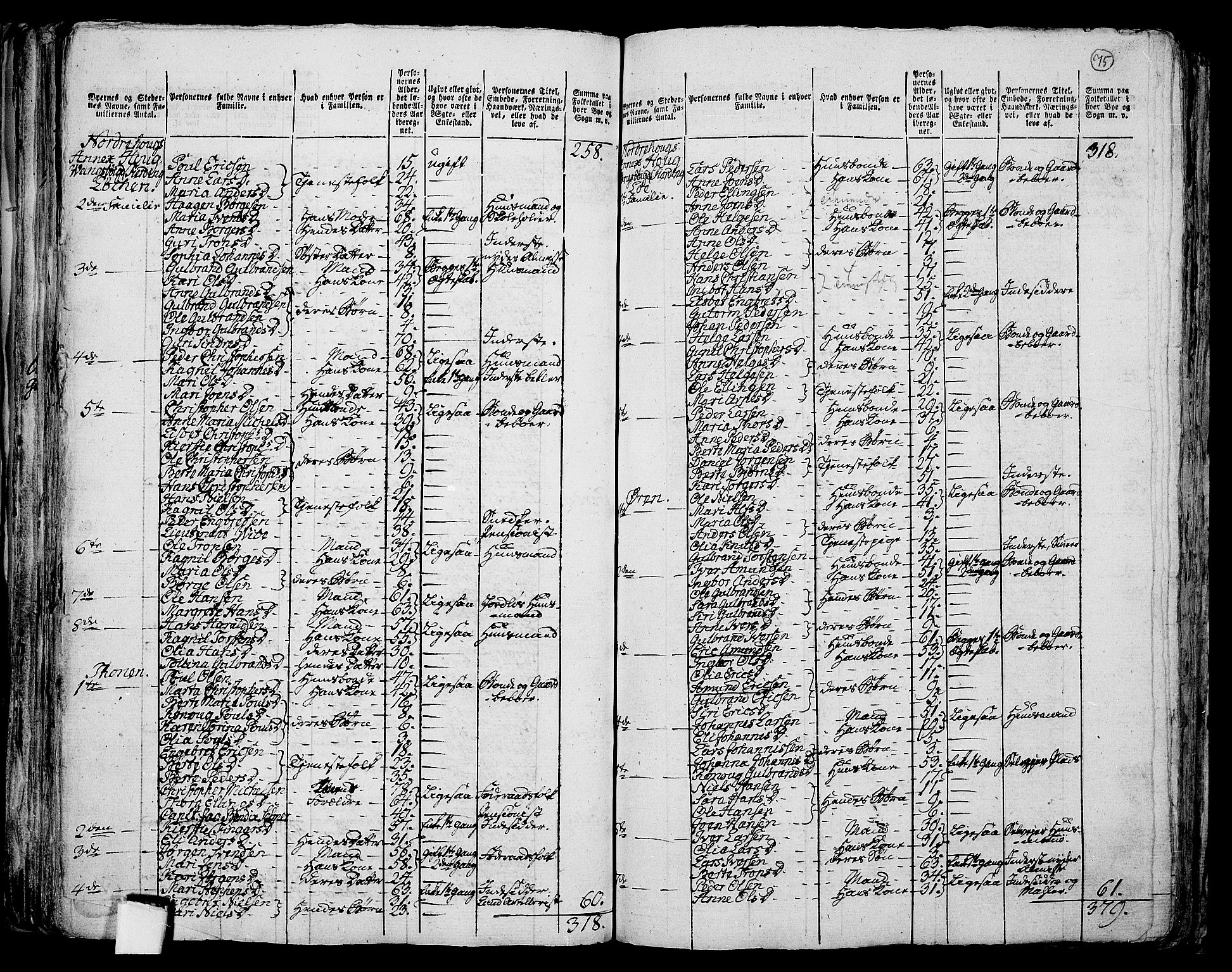 RA, 1801 census for 0613P Norderhov, 1801, p. 74b-75a