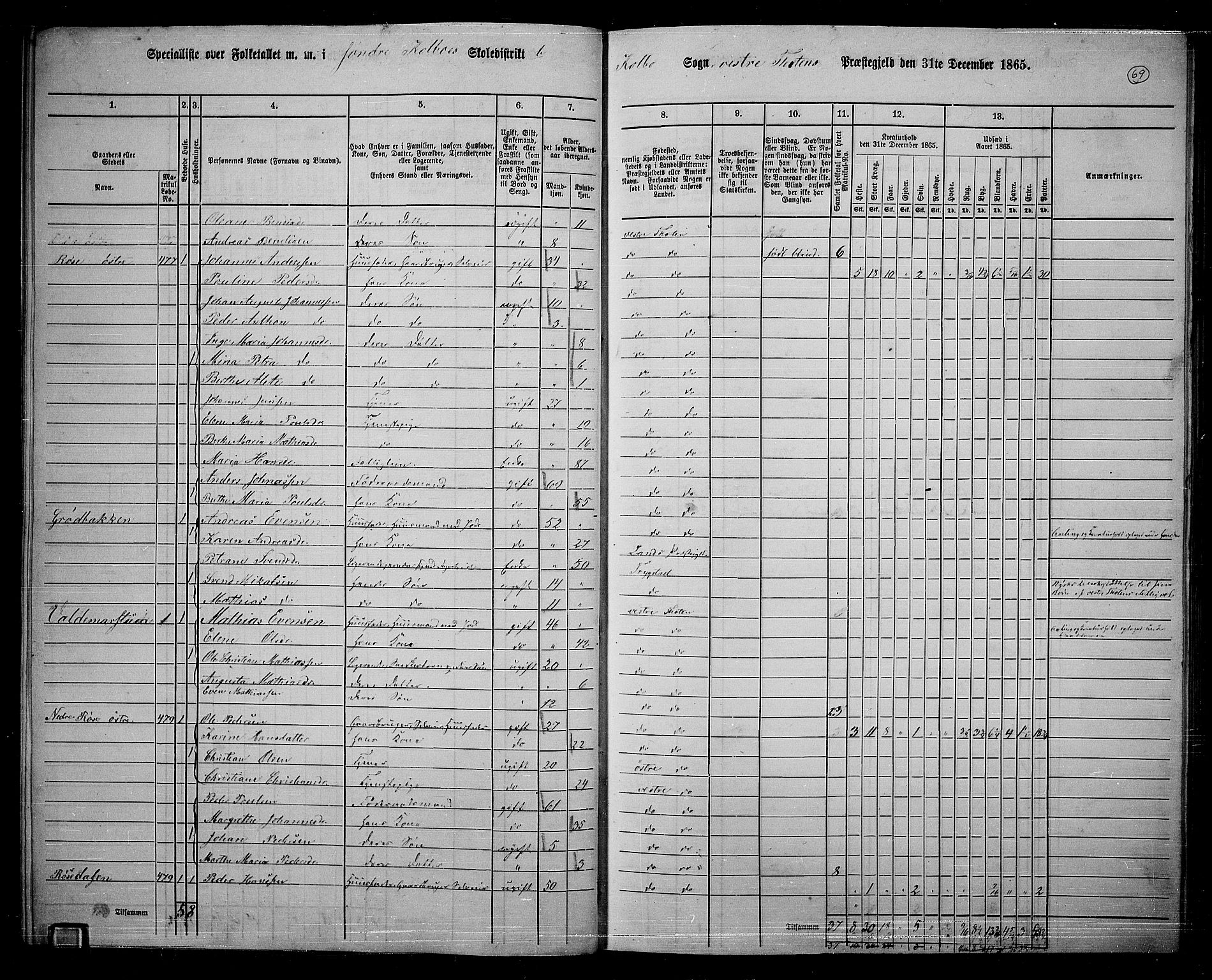 RA, 1865 census for Vestre Toten, 1865, p. 223