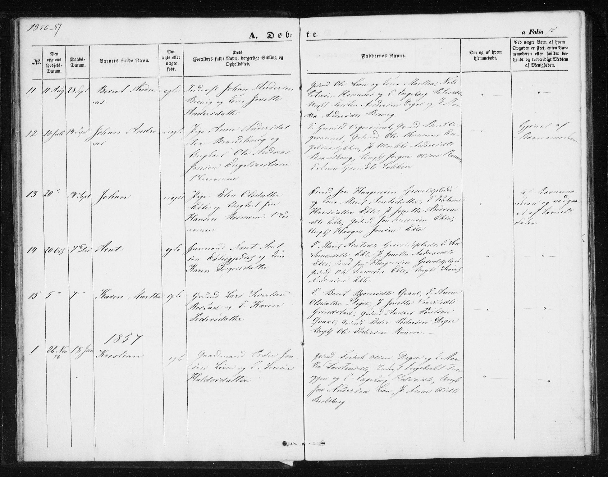 Ministerialprotokoller, klokkerbøker og fødselsregistre - Sør-Trøndelag, AV/SAT-A-1456/608/L0332: Parish register (official) no. 608A01, 1848-1861, p. 17