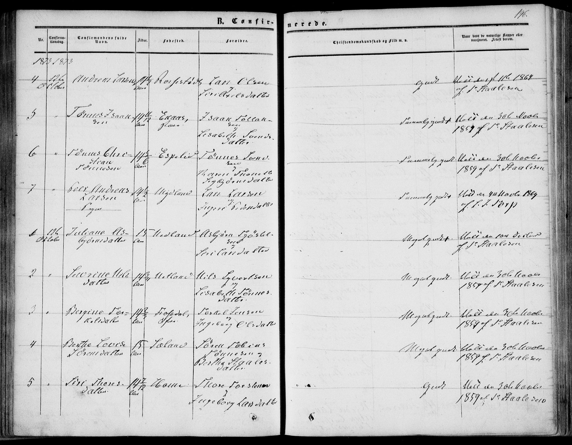 Bakke sokneprestkontor, AV/SAK-1111-0002/F/Fa/Fab/L0002: Parish register (official) no. A 2, 1855-1884, p. 196