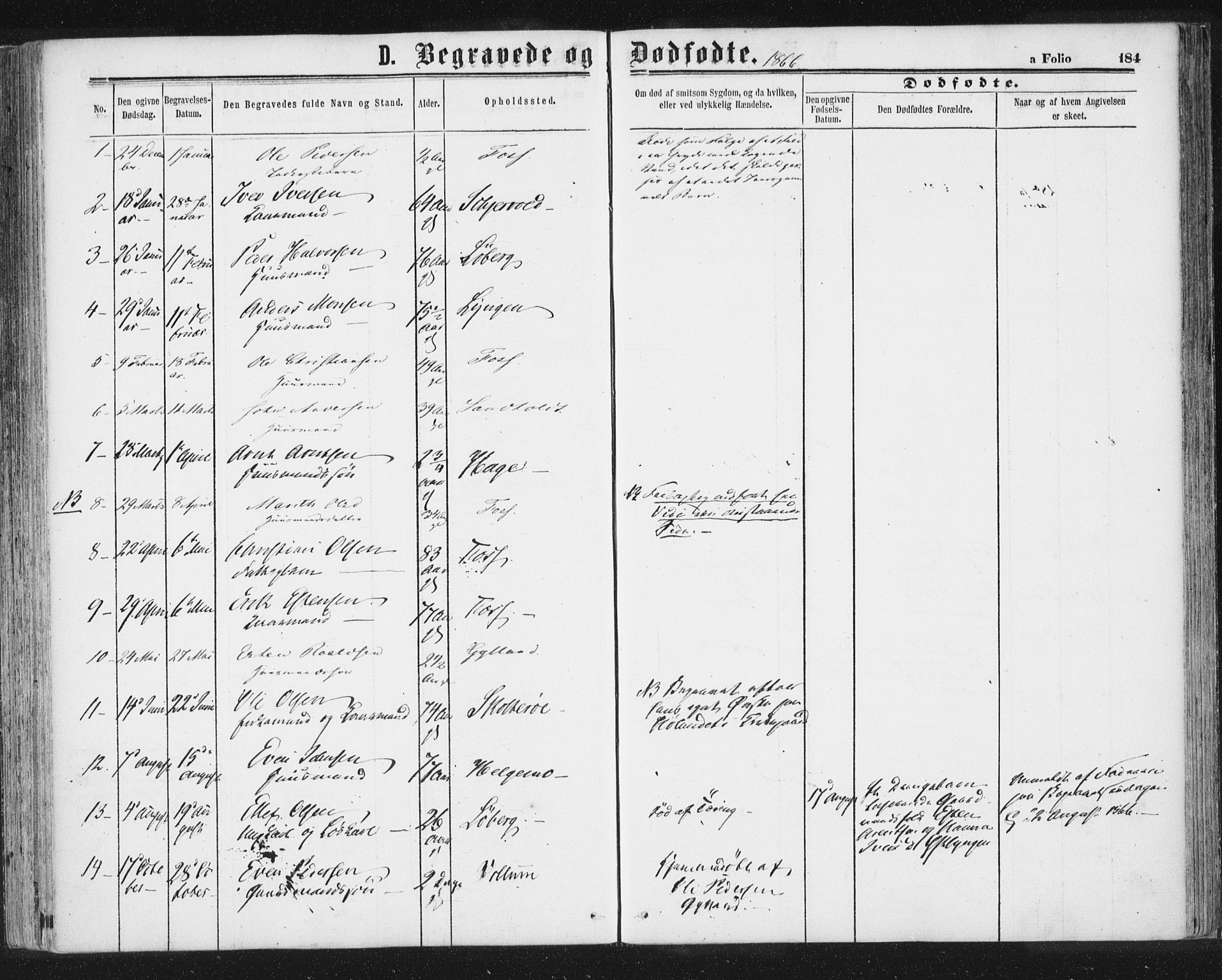 Ministerialprotokoller, klokkerbøker og fødselsregistre - Sør-Trøndelag, SAT/A-1456/692/L1104: Parish register (official) no. 692A04, 1862-1878, p. 184