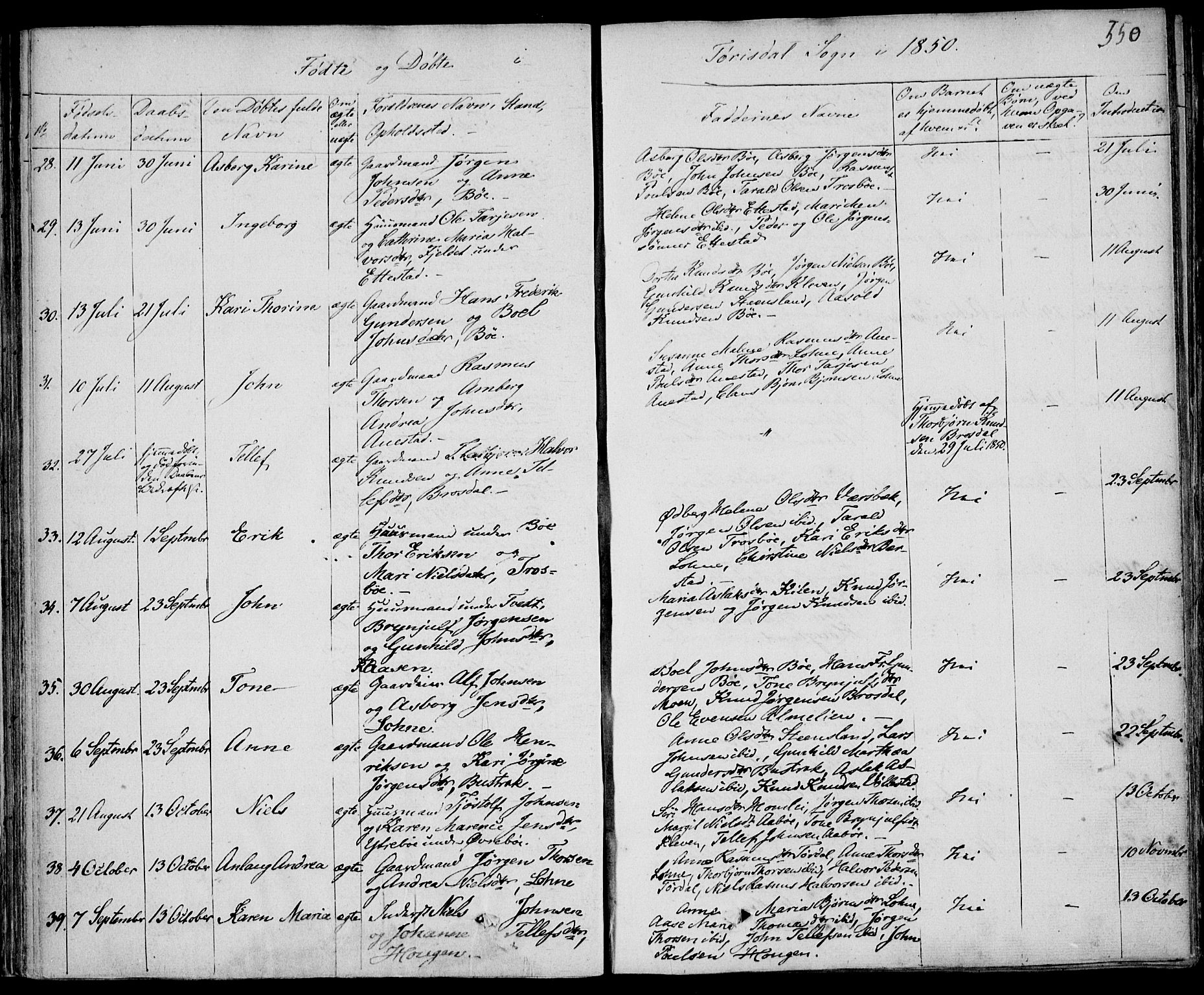 Drangedal kirkebøker, SAKO/A-258/F/Fa/L0007b: Parish register (official) no. 7b, 1837-1856, p. 550