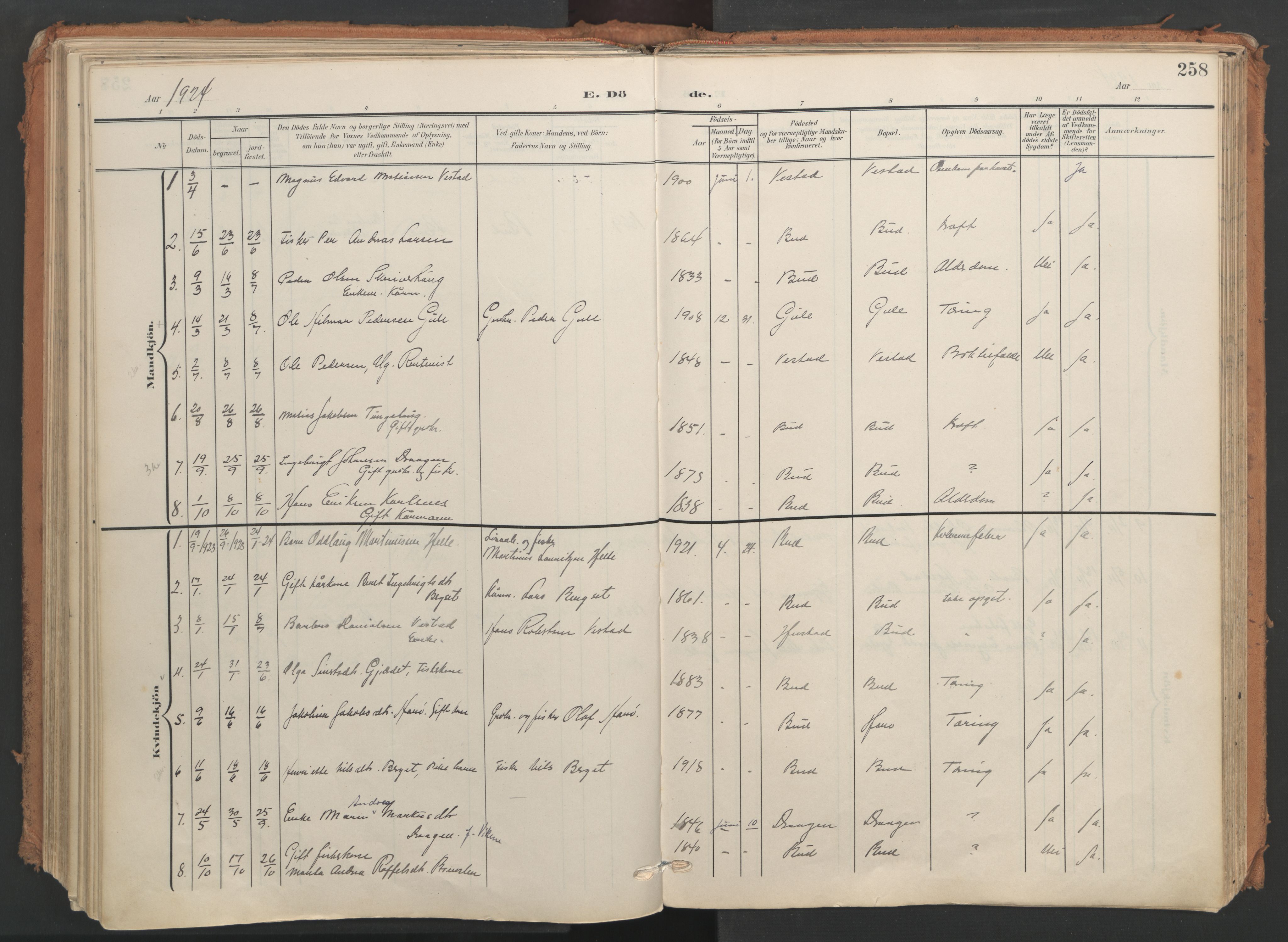 Ministerialprotokoller, klokkerbøker og fødselsregistre - Møre og Romsdal, AV/SAT-A-1454/566/L0771: Parish register (official) no. 566A10, 1904-1929, p. 258