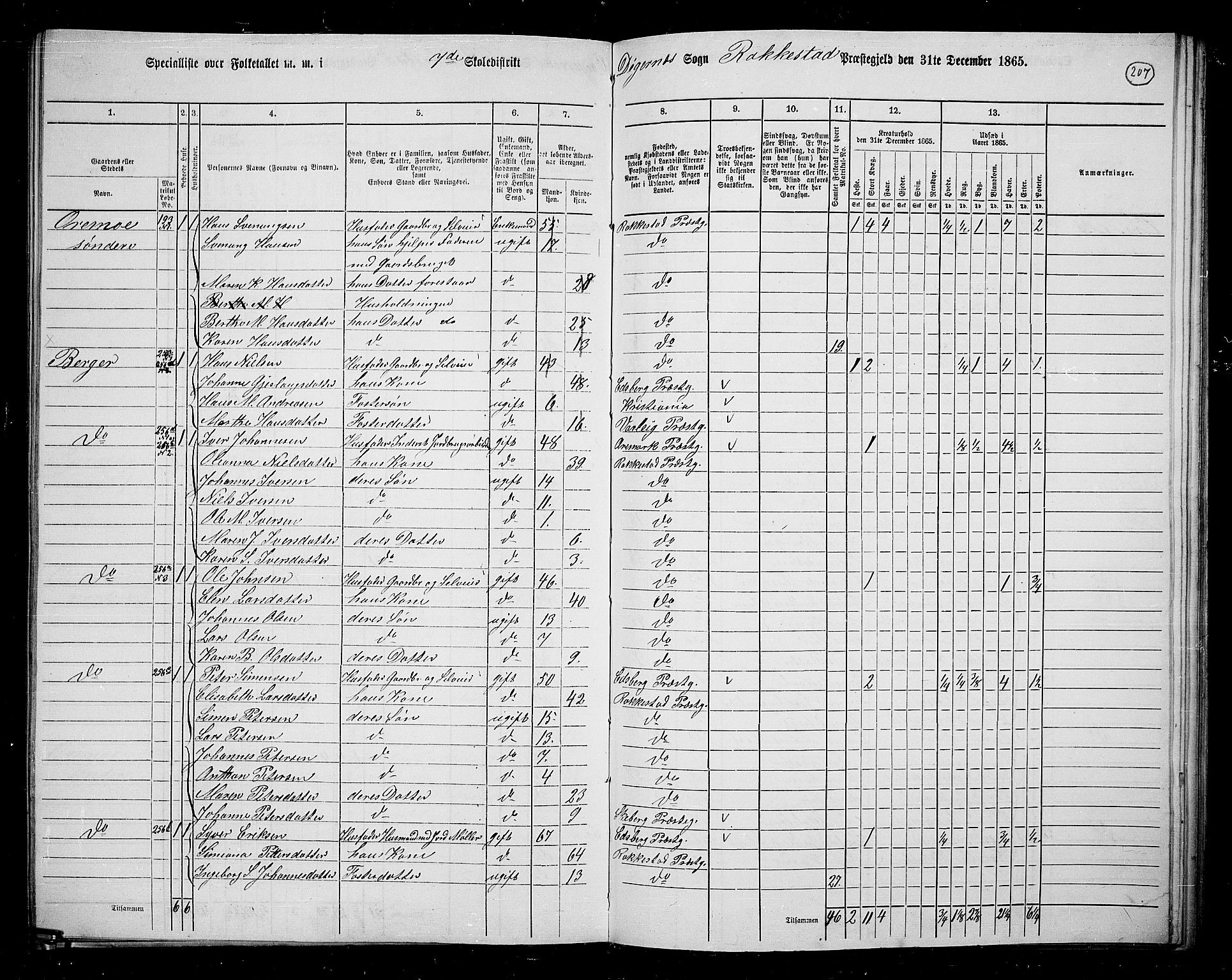 RA, 1865 census for Rakkestad, 1865, p. 199