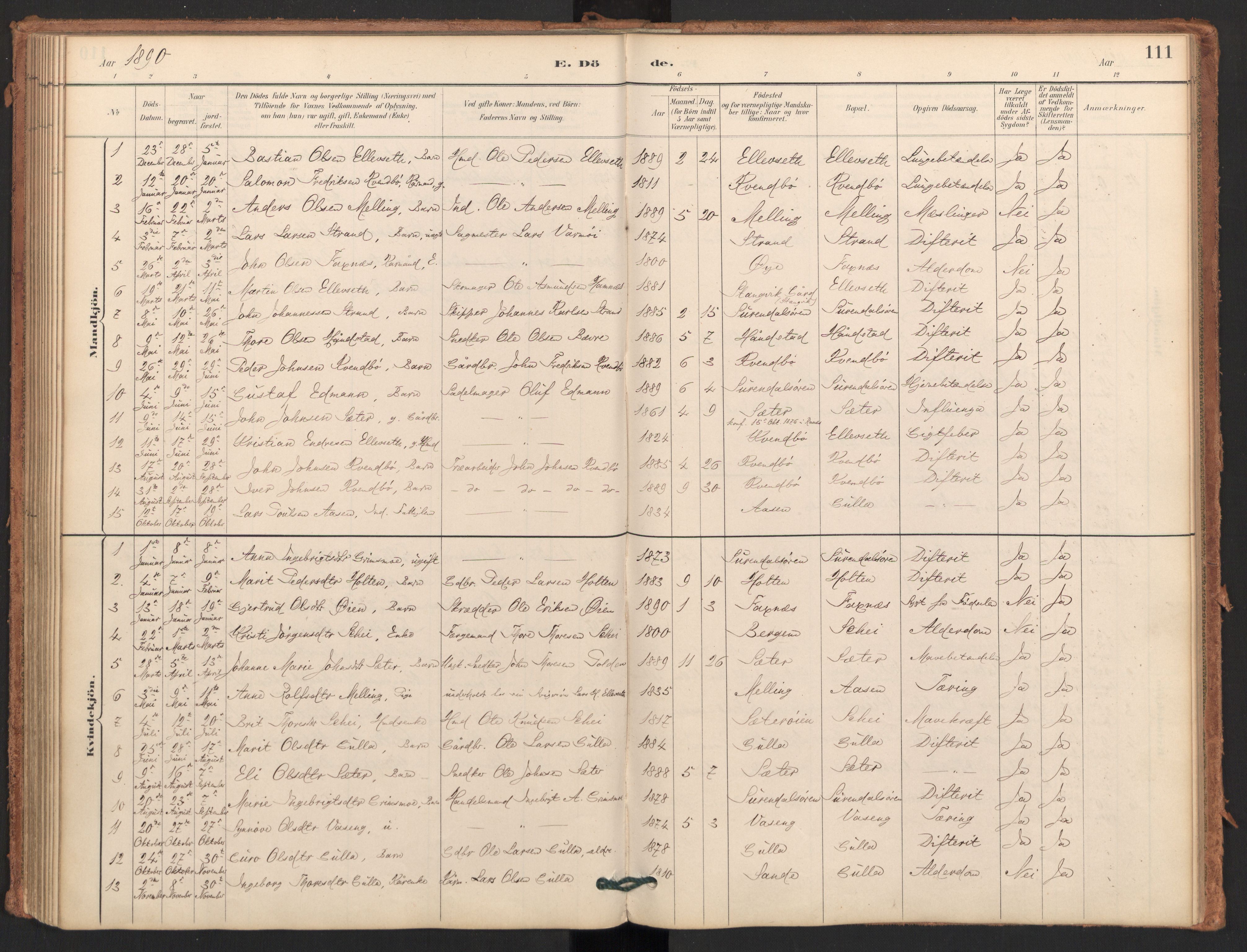 Ministerialprotokoller, klokkerbøker og fødselsregistre - Møre og Romsdal, SAT/A-1454/596/L1056: Parish register (official) no. 596A01, 1885-1900, p. 111