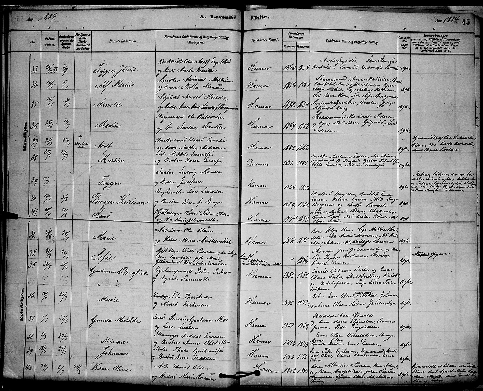 Vang prestekontor, Hedmark, AV/SAH-PREST-008/H/Ha/Hab/L0012: Parish register (copy) no. 12, 1878-1889, p. 45