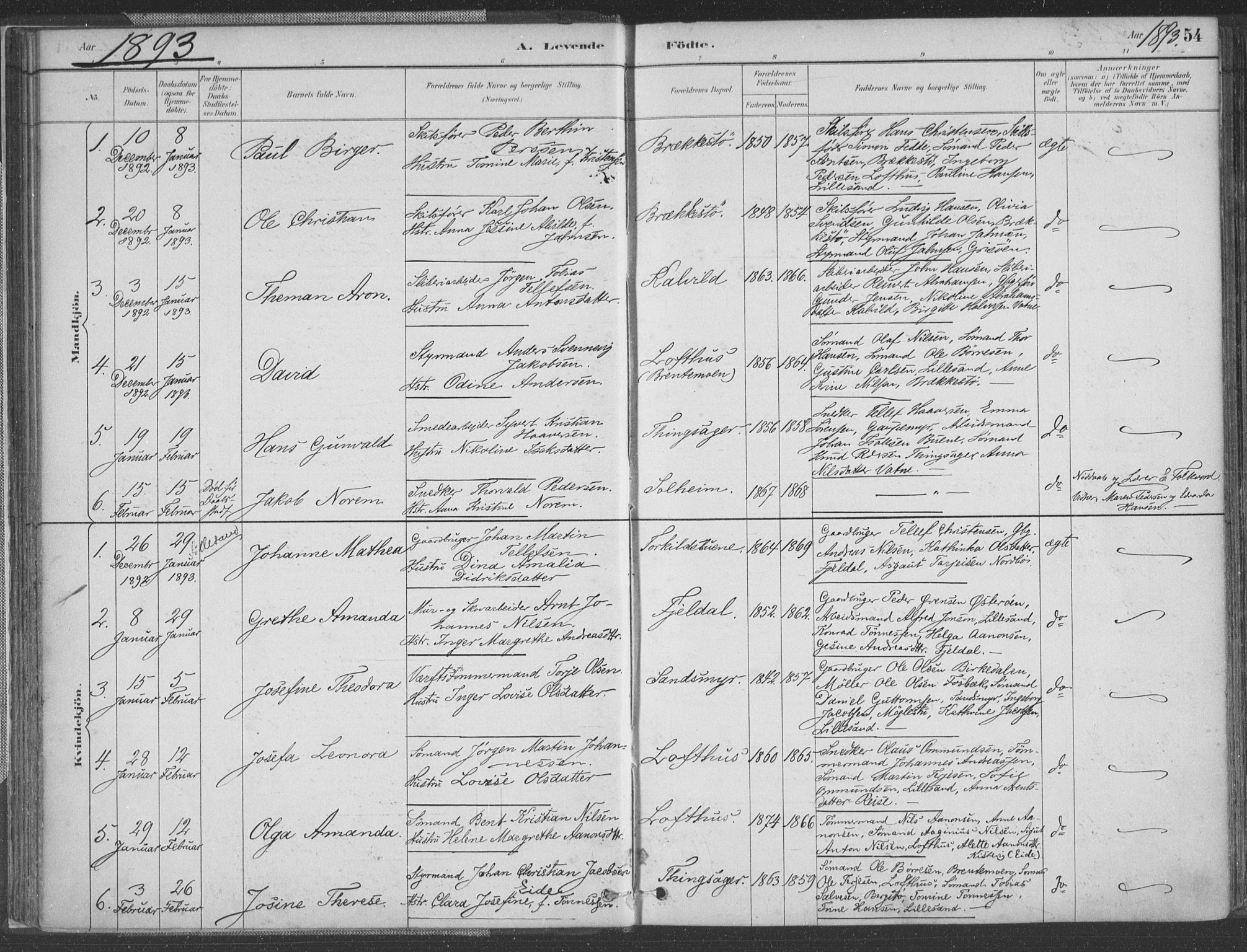 Vestre Moland sokneprestkontor, AV/SAK-1111-0046/F/Fa/Fab/L0009: Parish register (official) no. A 9, 1884-1899, p. 54