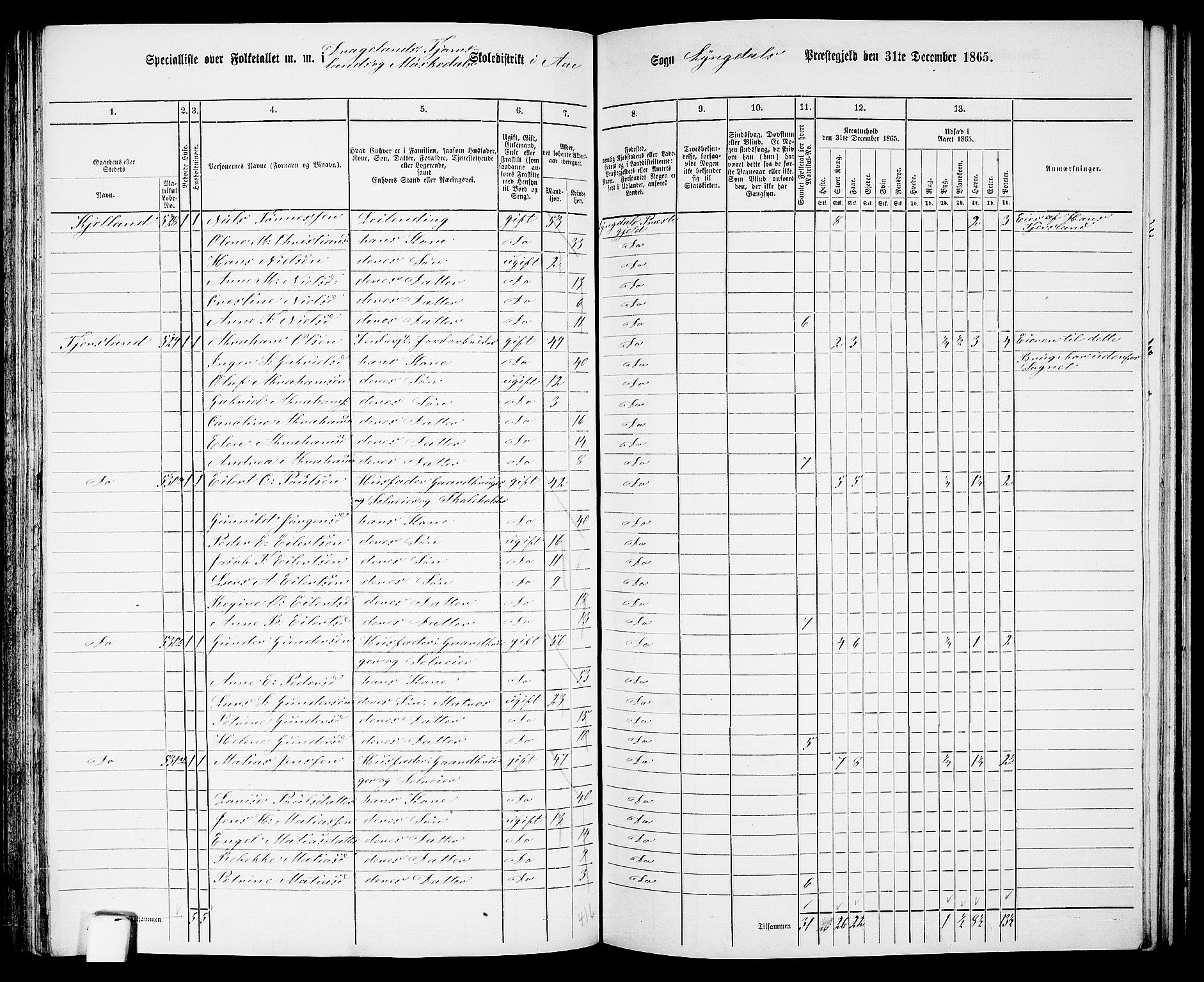 RA, 1865 census for Lyngdal, 1865, p. 146