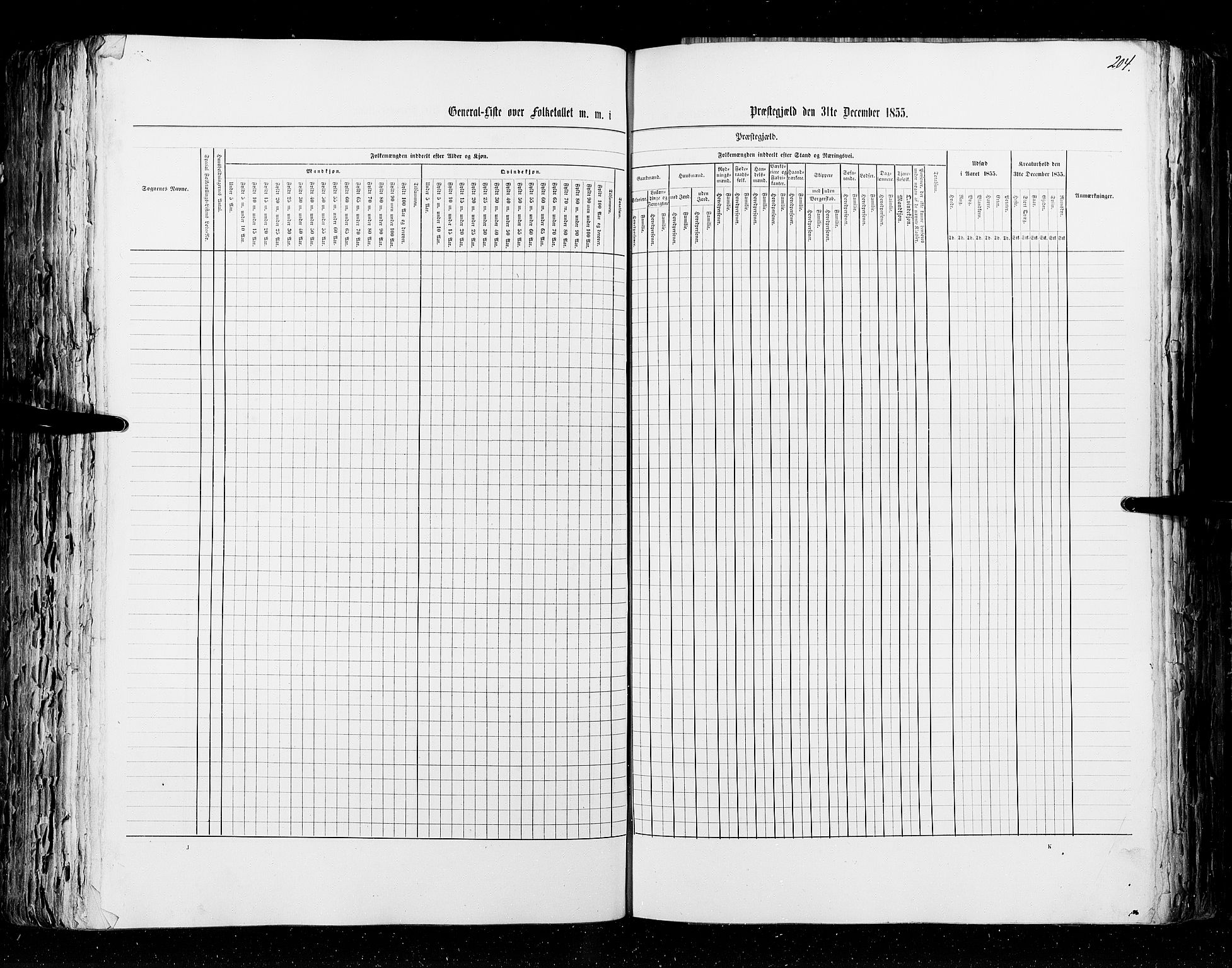 RA, Census 1855, vol. 2: Kristians amt, Buskerud amt og Jarlsberg og Larvik amt, 1855, p. 204