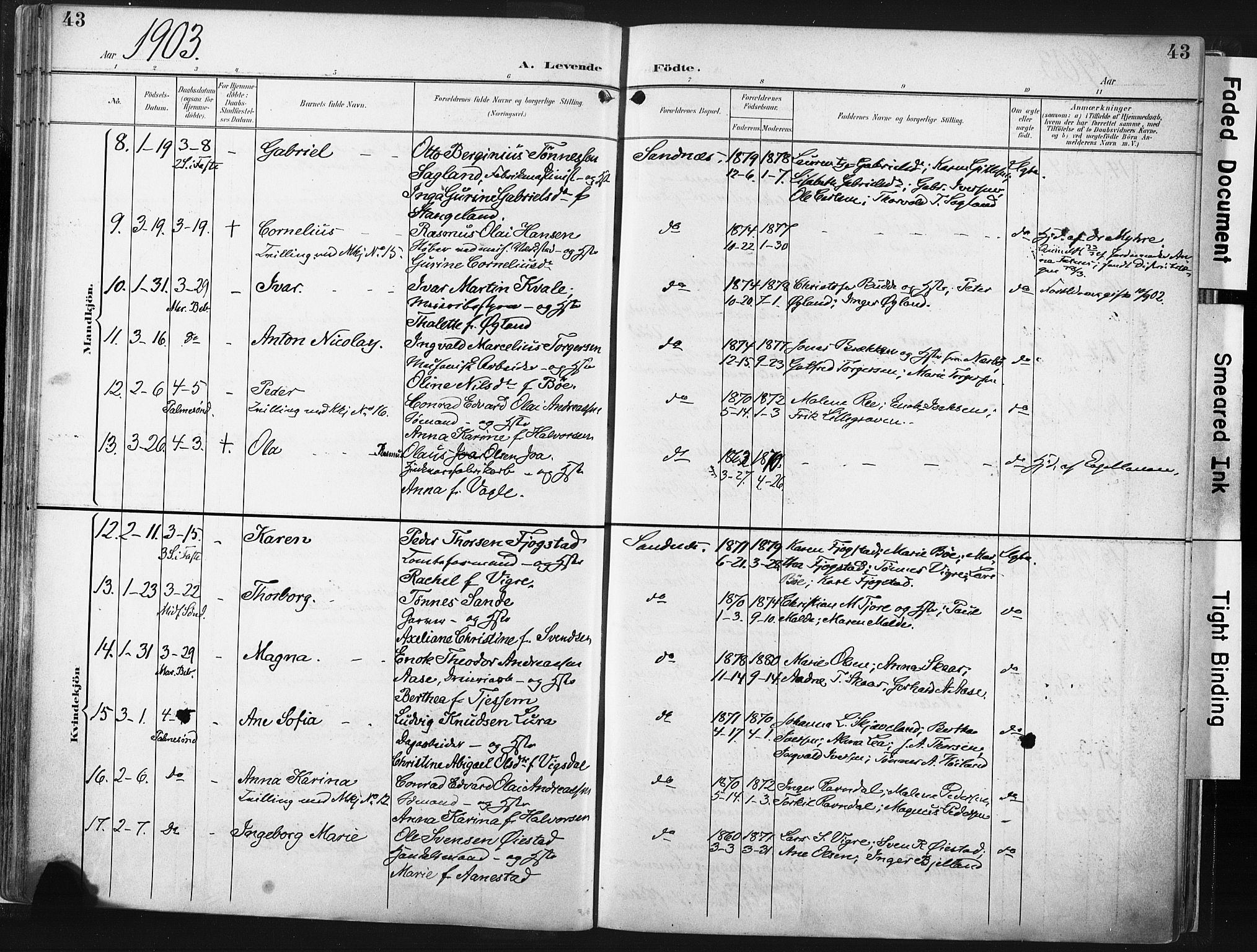 Høyland sokneprestkontor, AV/SAST-A-101799/001/30BA/L0016: Parish register (official) no. A 16, 1899-1911, p. 43