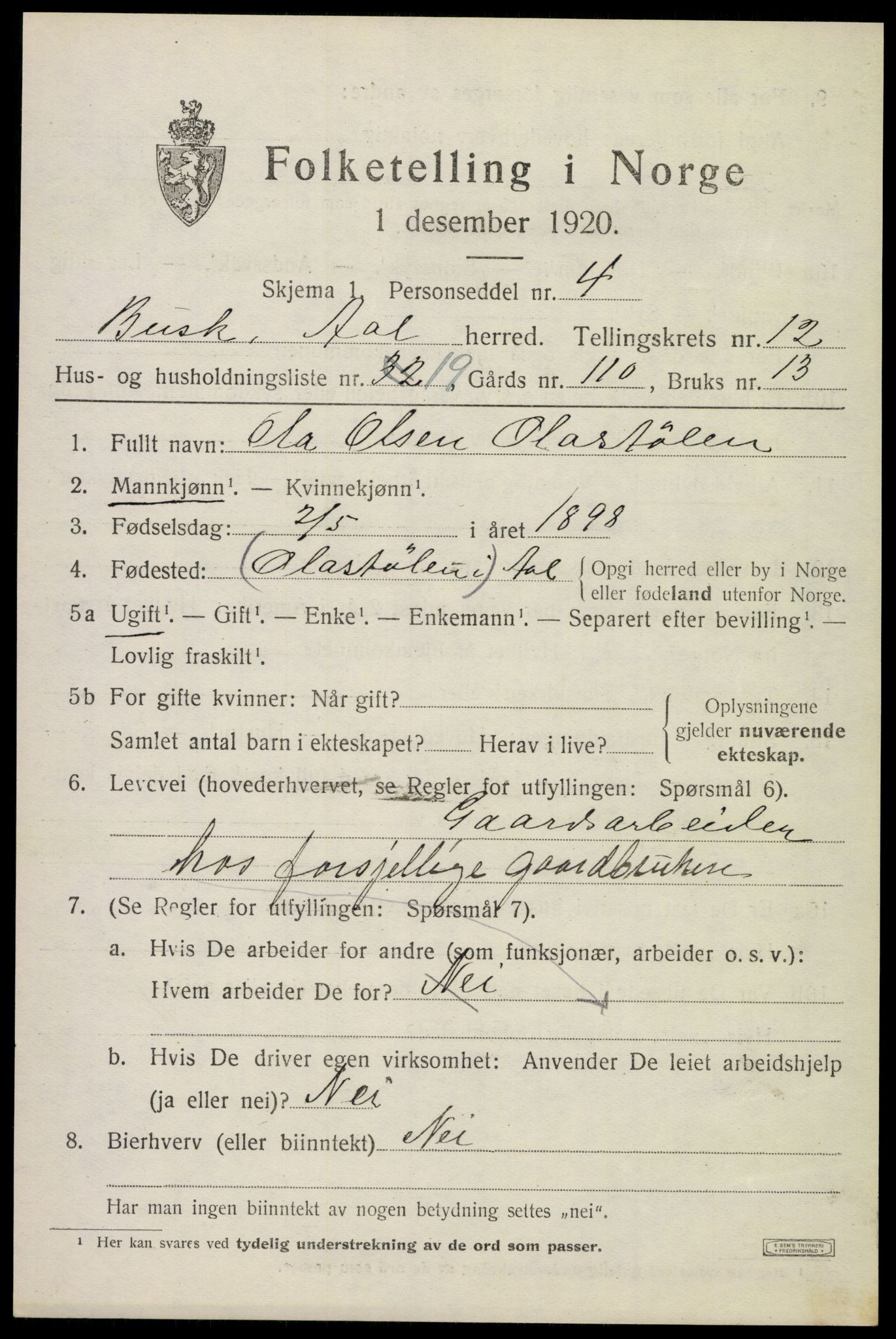 SAKO, 1920 census for Ål, 1920, p. 6848