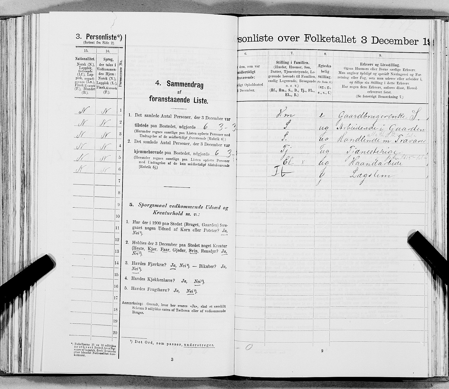 SAT, 1900 census for Hemnes, 1900, p. 734