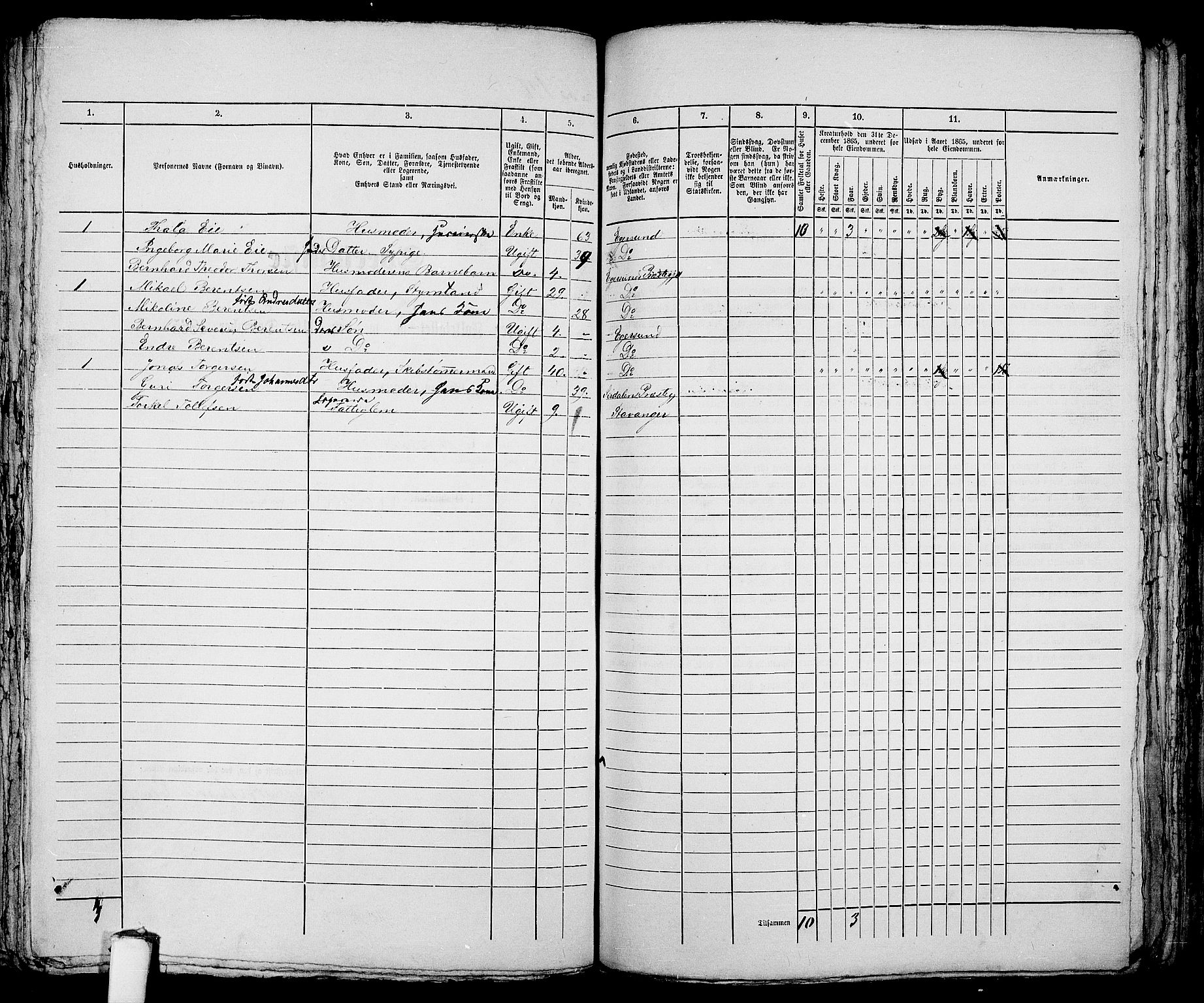 RA, 1865 census for Eigersund parish, Egersund town, 1865, p. 365