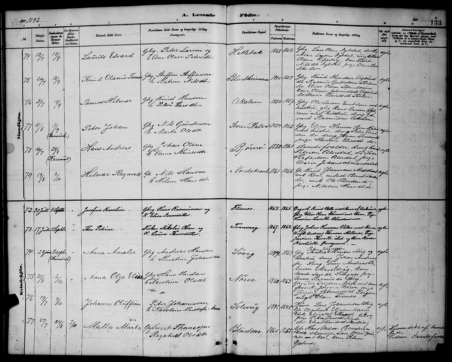 Ministerialprotokoller, klokkerbøker og fødselsregistre - Møre og Romsdal, AV/SAT-A-1454/528/L0431: Parish register (copy) no. 528C12, 1885-1898, p. 133