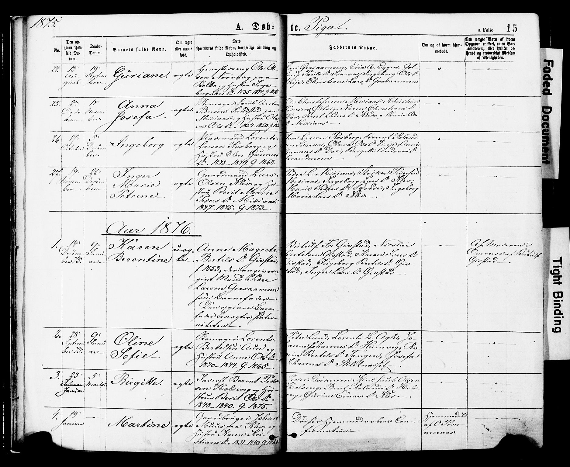 Ministerialprotokoller, klokkerbøker og fødselsregistre - Nord-Trøndelag, AV/SAT-A-1458/749/L0473: Parish register (official) no. 749A07, 1873-1887, p. 15