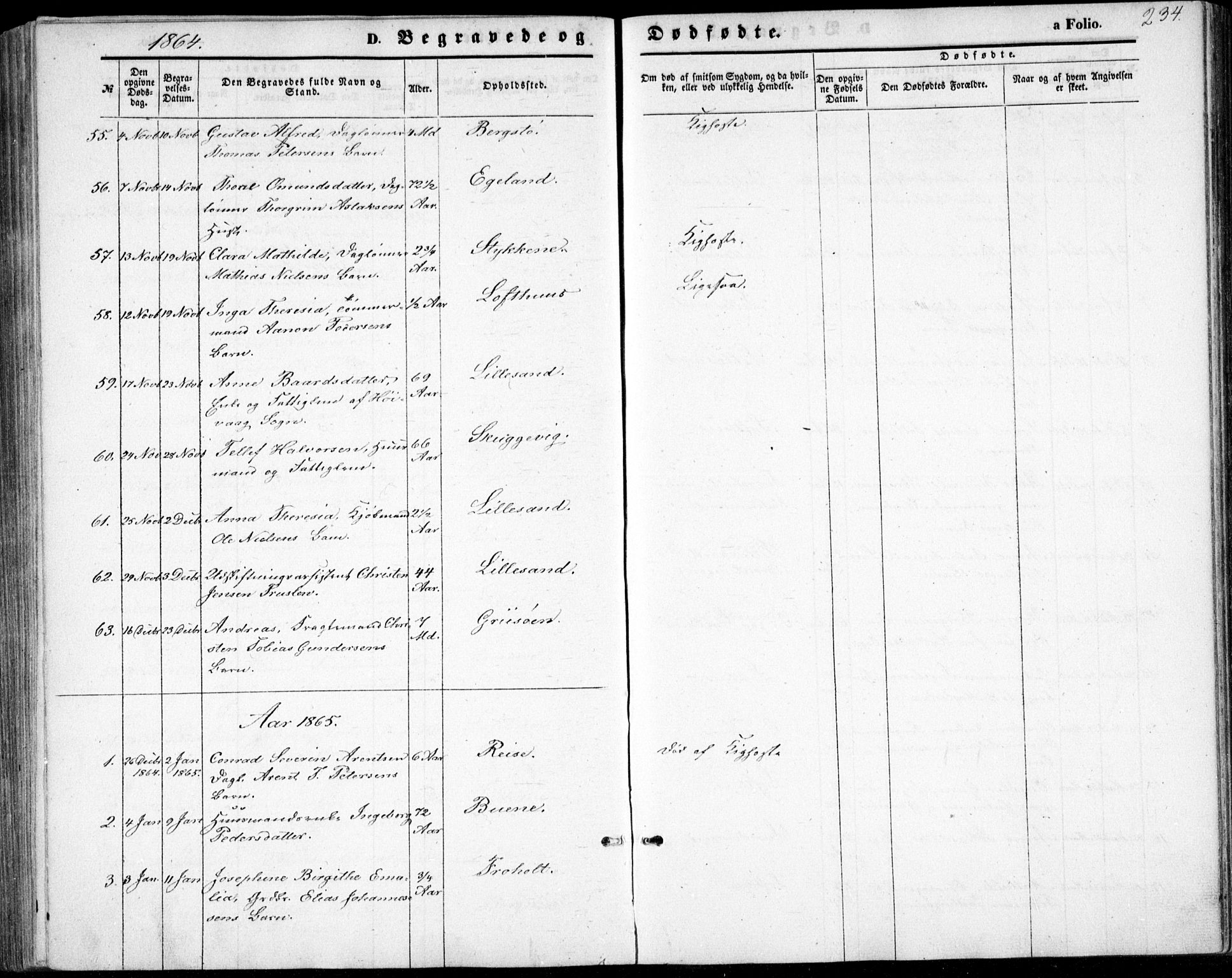 Vestre Moland sokneprestkontor, SAK/1111-0046/F/Fb/Fbb/L0004: Parish register (copy) no. B 4, 1861-1872, p. 234