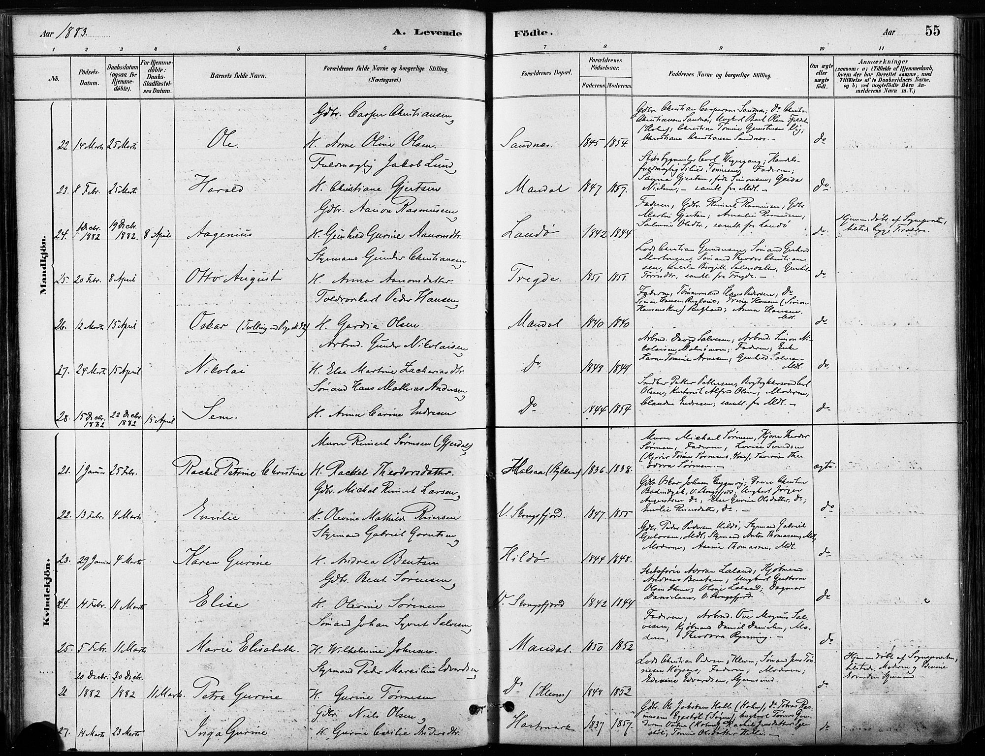 Mandal sokneprestkontor, AV/SAK-1111-0030/F/Fa/Faa/L0016: Parish register (official) no. A 16, 1880-1890, p. 55