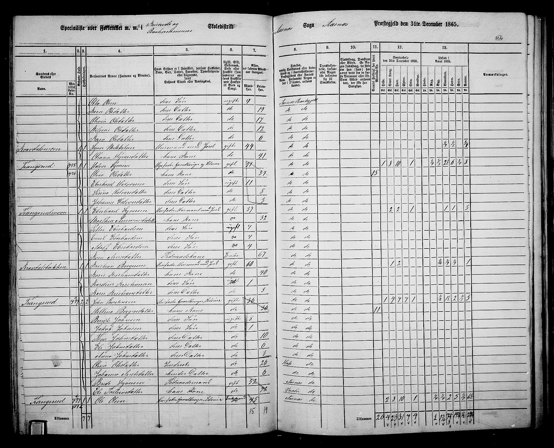 RA, 1865 census for Åsnes, 1865, p. 113