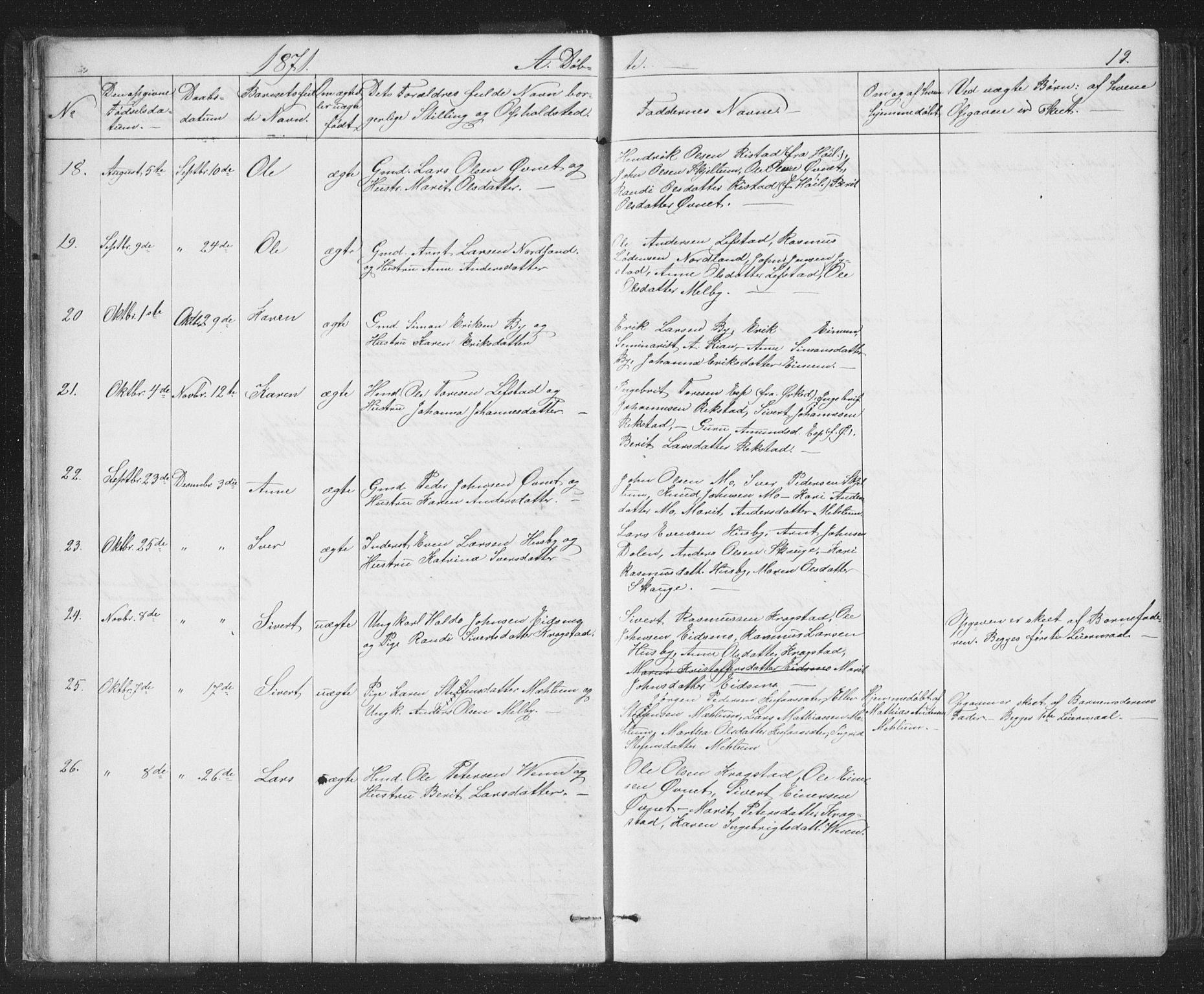Ministerialprotokoller, klokkerbøker og fødselsregistre - Sør-Trøndelag, SAT/A-1456/667/L0798: Parish register (copy) no. 667C03, 1867-1929, p. 19