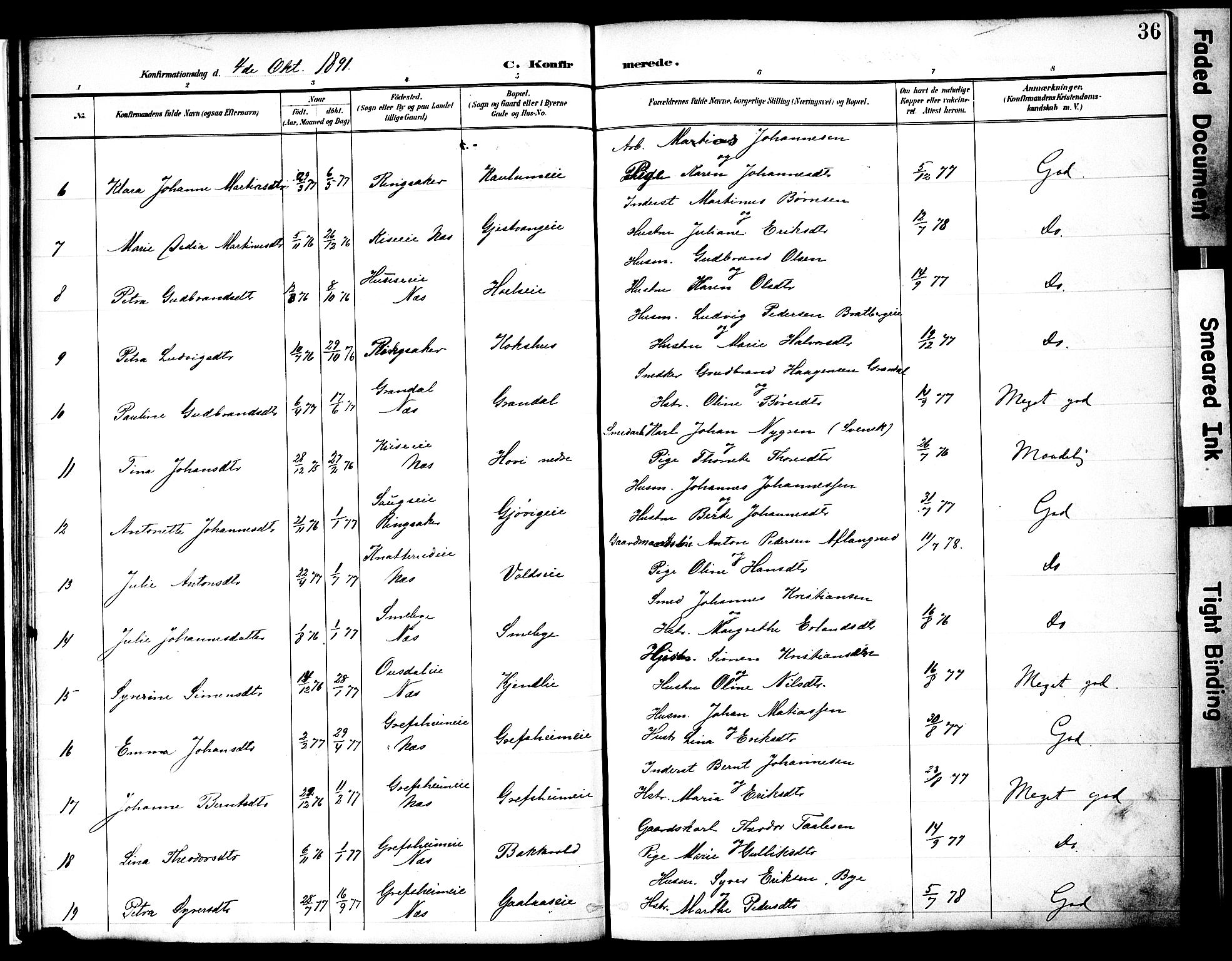 Nes prestekontor, Hedmark, AV/SAH-PREST-020/K/Ka/L0010: Parish register (official) no. 10, 1887-1905, p. 36