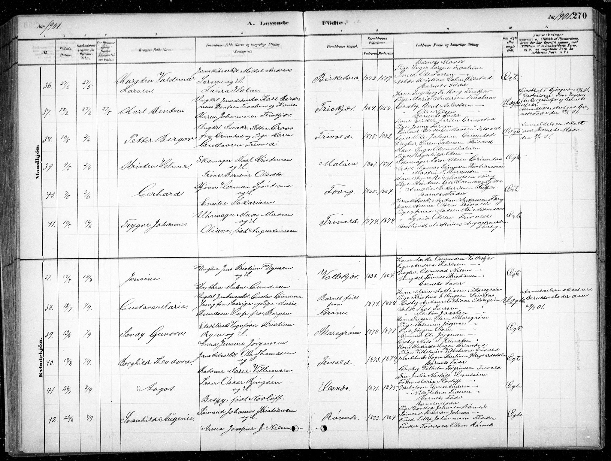 Fjære sokneprestkontor, SAK/1111-0011/F/Fb/L0011: Parish register (copy) no. B 11, 1881-1905, p. 270