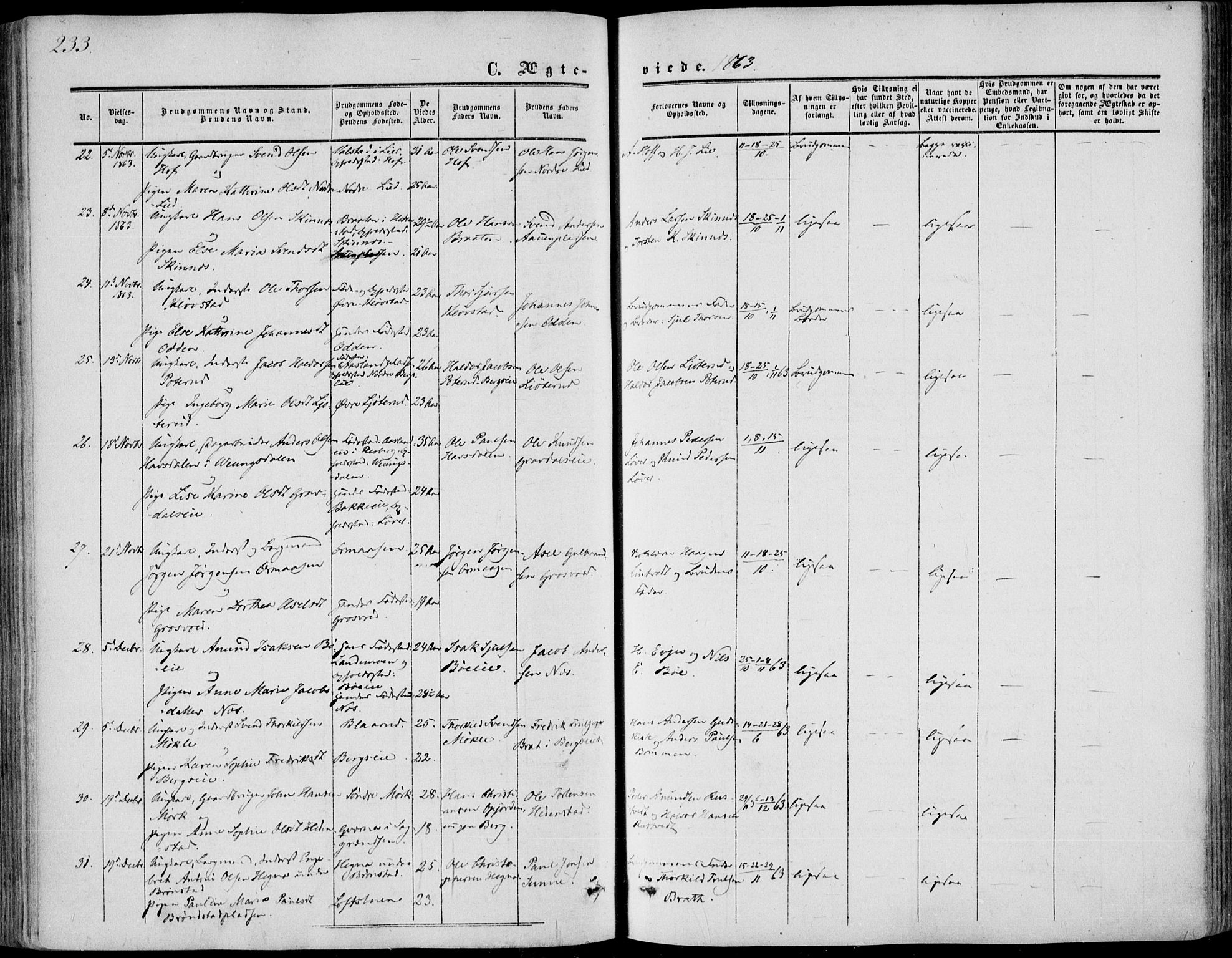 Sandsvær kirkebøker, AV/SAKO-A-244/F/Fa/L0006: Parish register (official) no. I 6, 1857-1868, p. 233