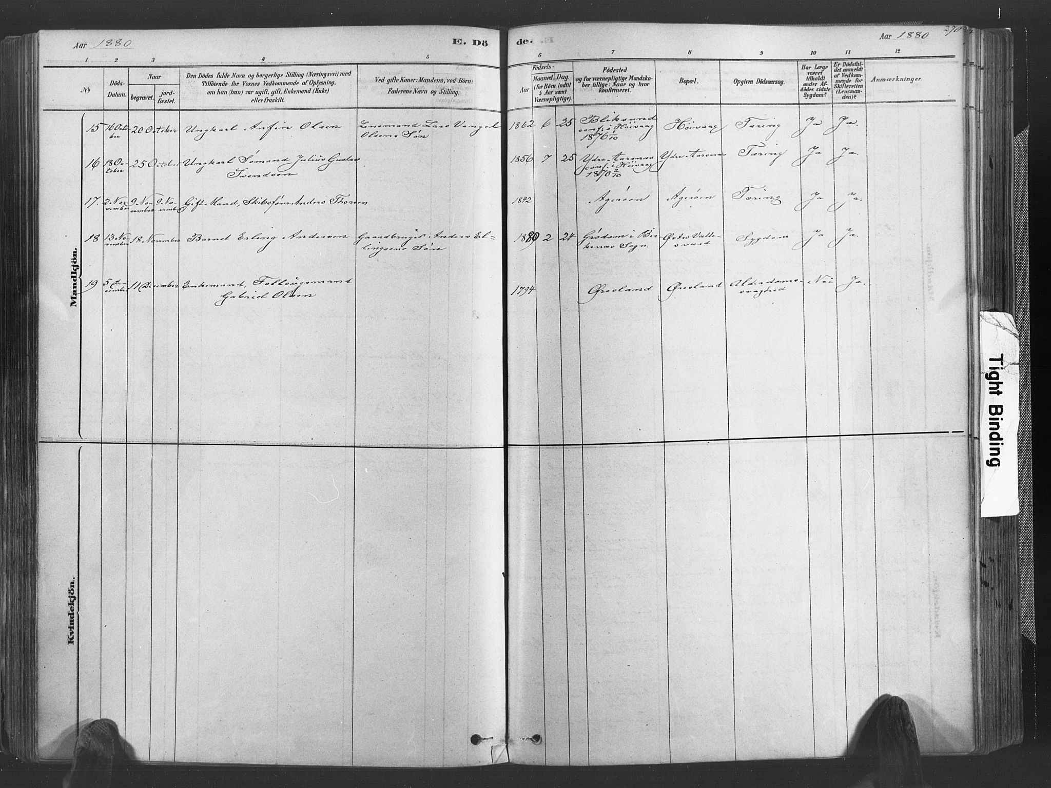 Høvåg sokneprestkontor, SAK/1111-0025/F/Fa/L0005: Parish register (official) no. A 5, 1878-1893, p. 270