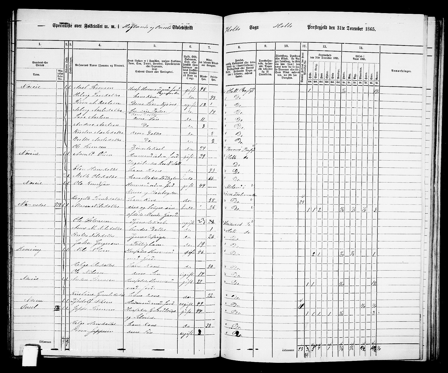 RA, 1865 census for Holt/Holt, 1865, p. 140