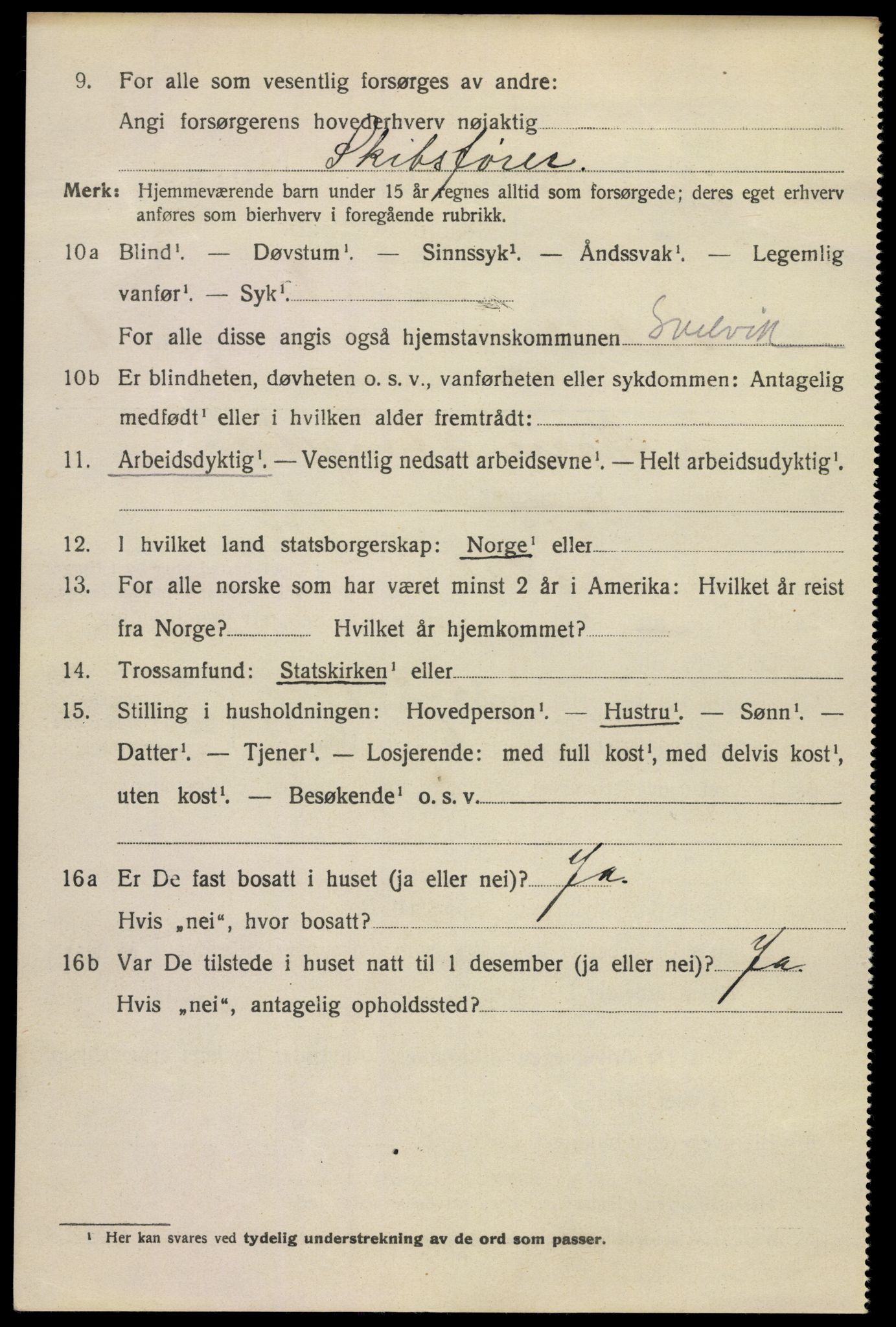 SAKO, 1920 census for Svelvik, 1920, p. 1690