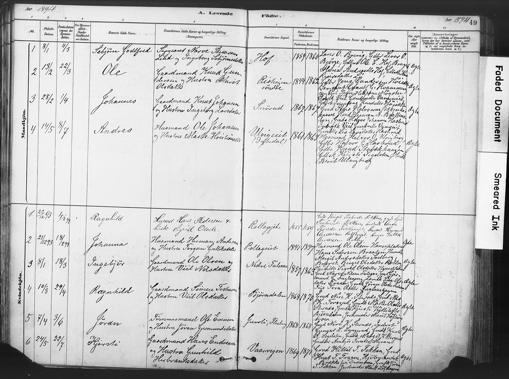 Rollag kirkebøker, SAKO/A-240/F/Fa/L0011: Parish register (official) no. I 11, 1878-1902, p. 49