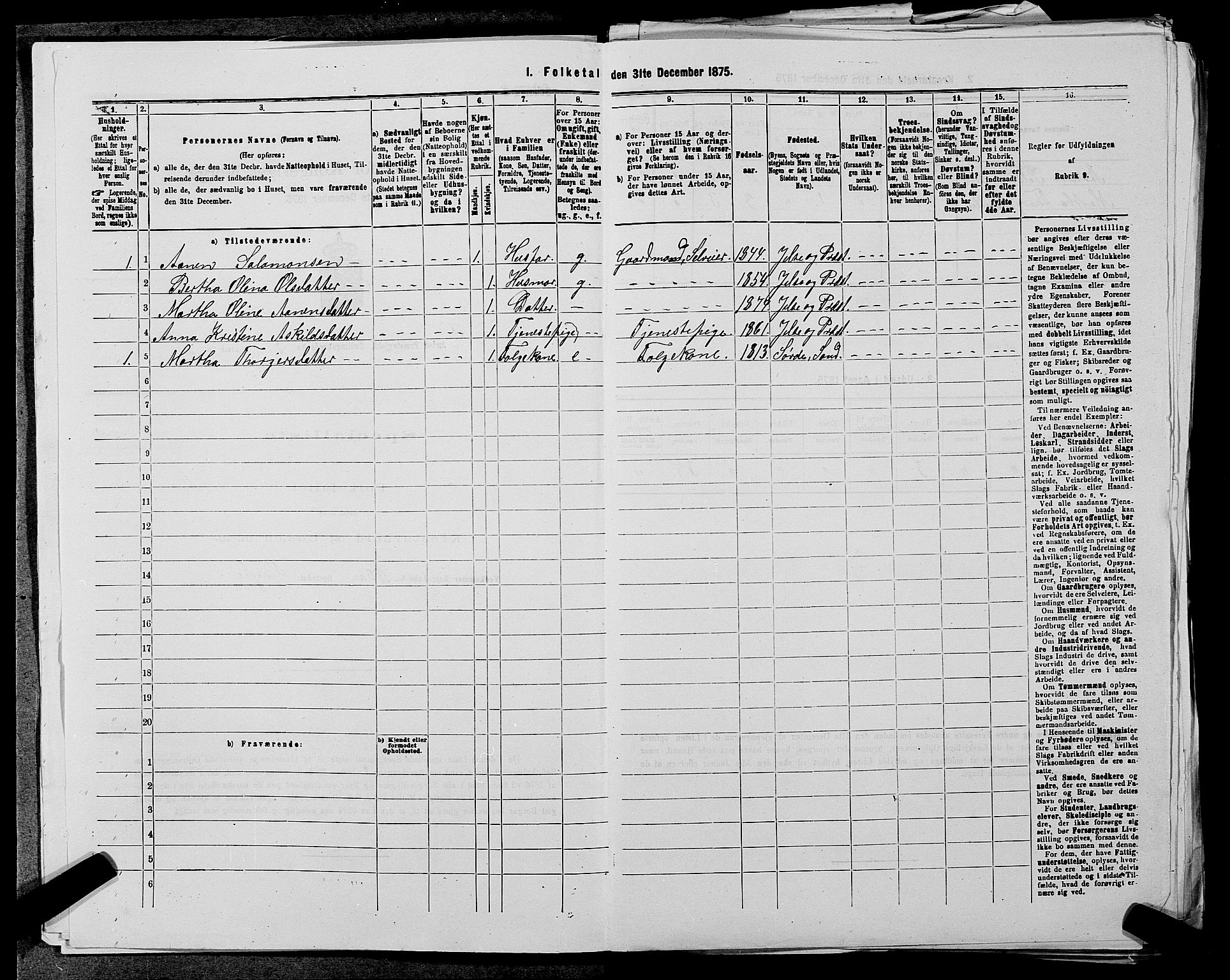 SAST, 1875 census for 1138P Jelsa, 1875, p. 678