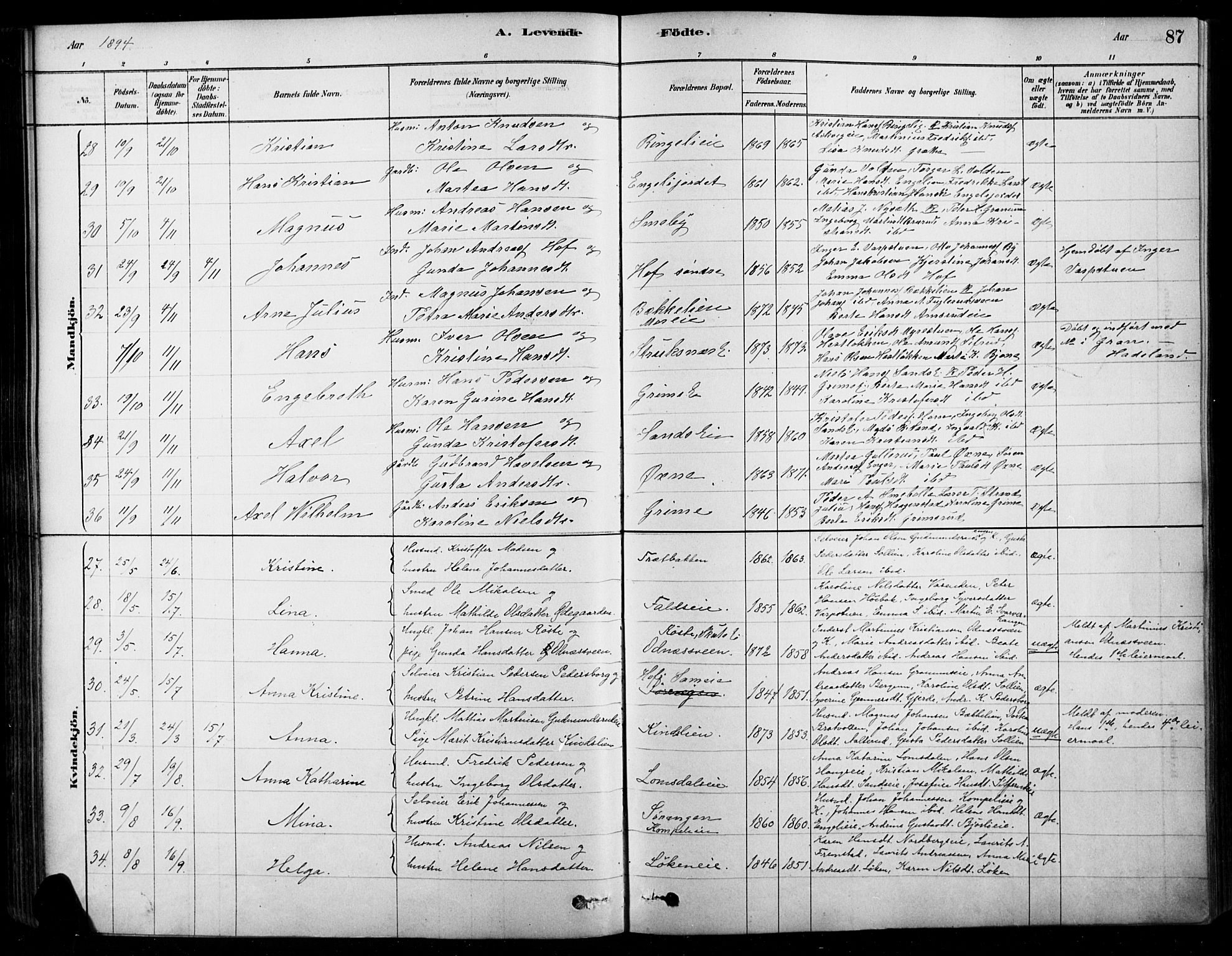 Søndre Land prestekontor, AV/SAH-PREST-122/K/L0003: Parish register (official) no. 3, 1878-1894, p. 87