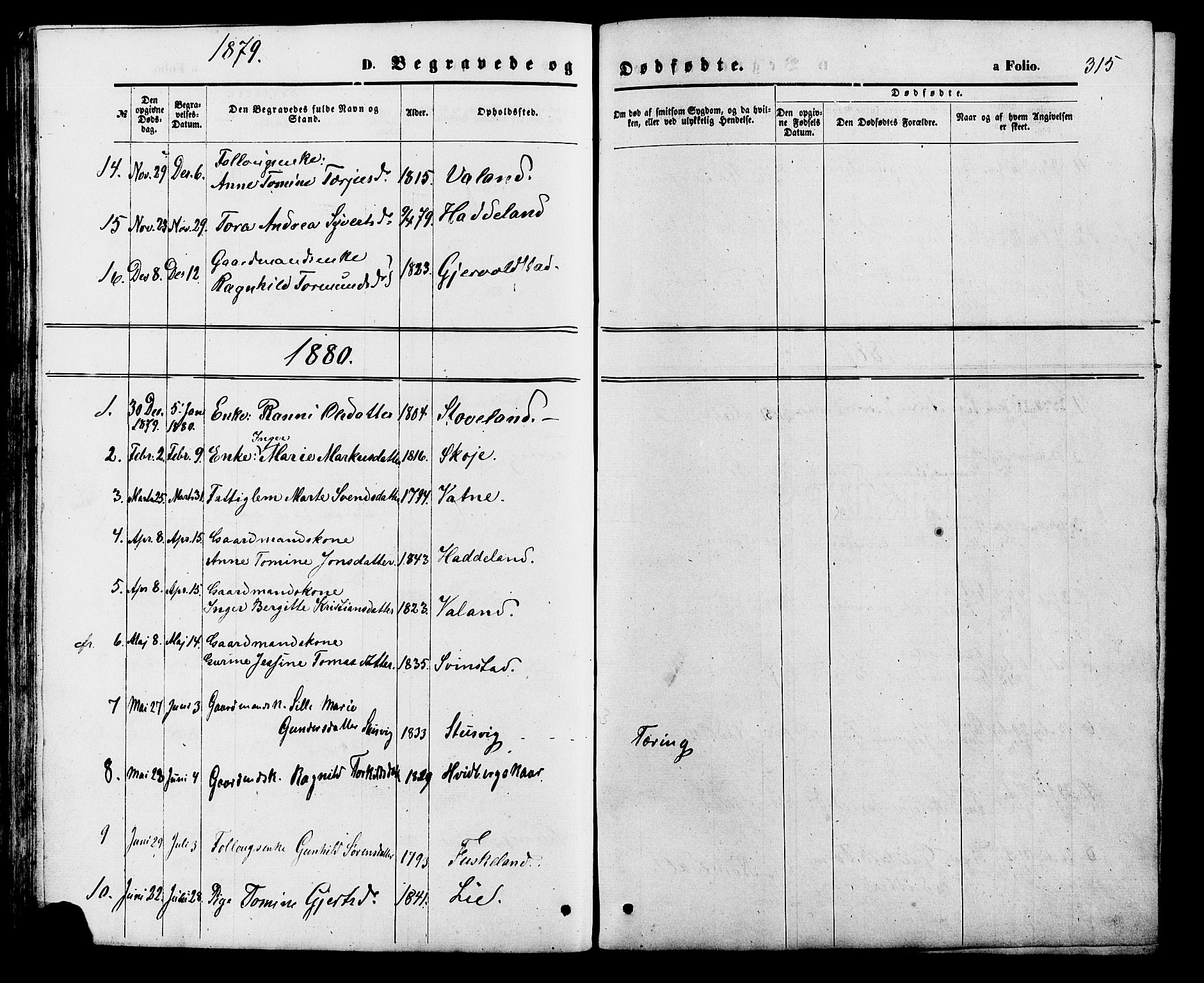 Holum sokneprestkontor, SAK/1111-0022/F/Fb/Fba/L0004: Parish register (copy) no. B 4, 1867-1890, p. 315
