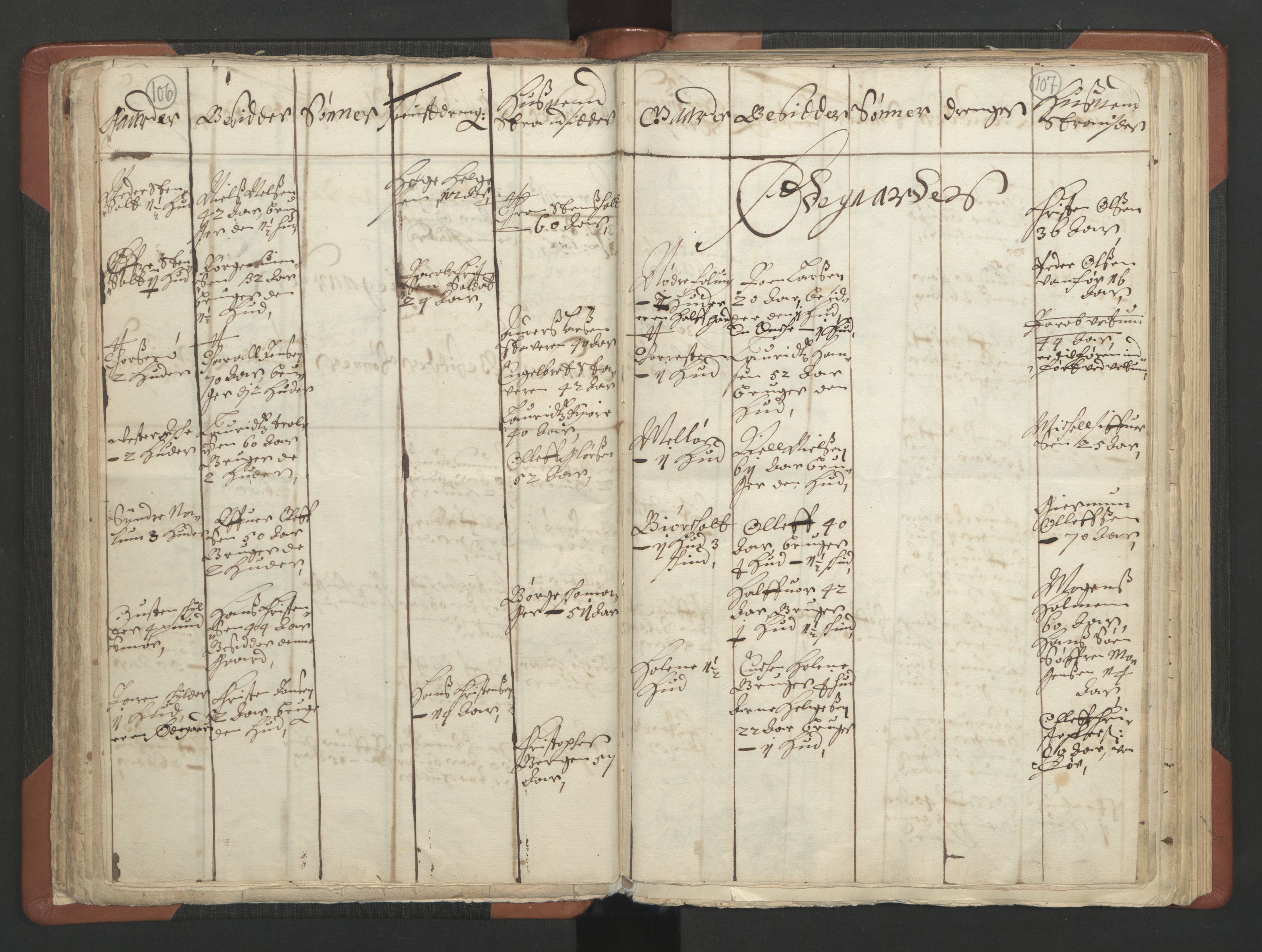 RA, Vicar's Census 1664-1666, no. 11: Brunlanes deanery, 1664-1666, p. 106-107