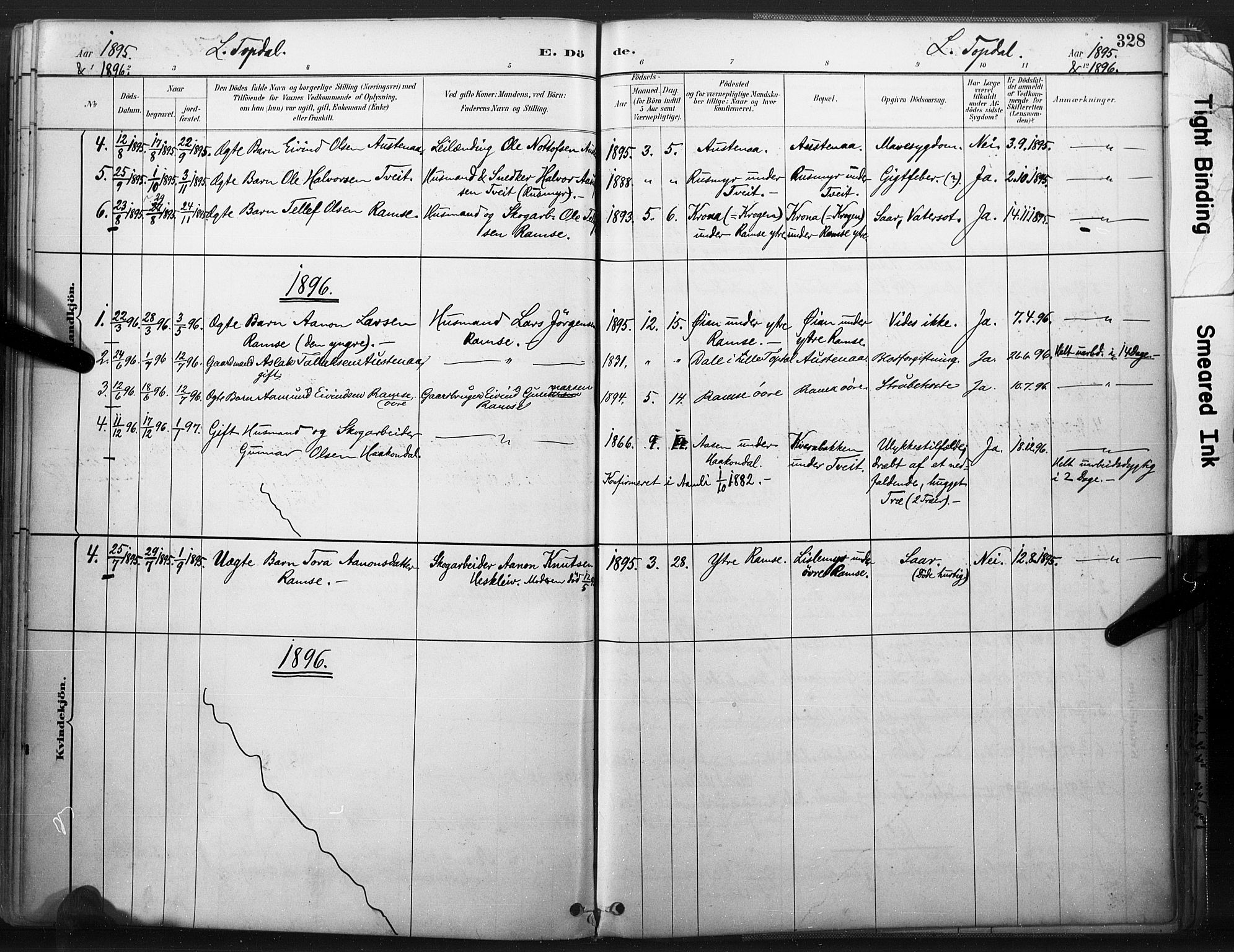 Åmli sokneprestkontor, AV/SAK-1111-0050/F/Fa/Fac/L0010: Parish register (official) no. A 10 /3, 1885-1899, p. 328