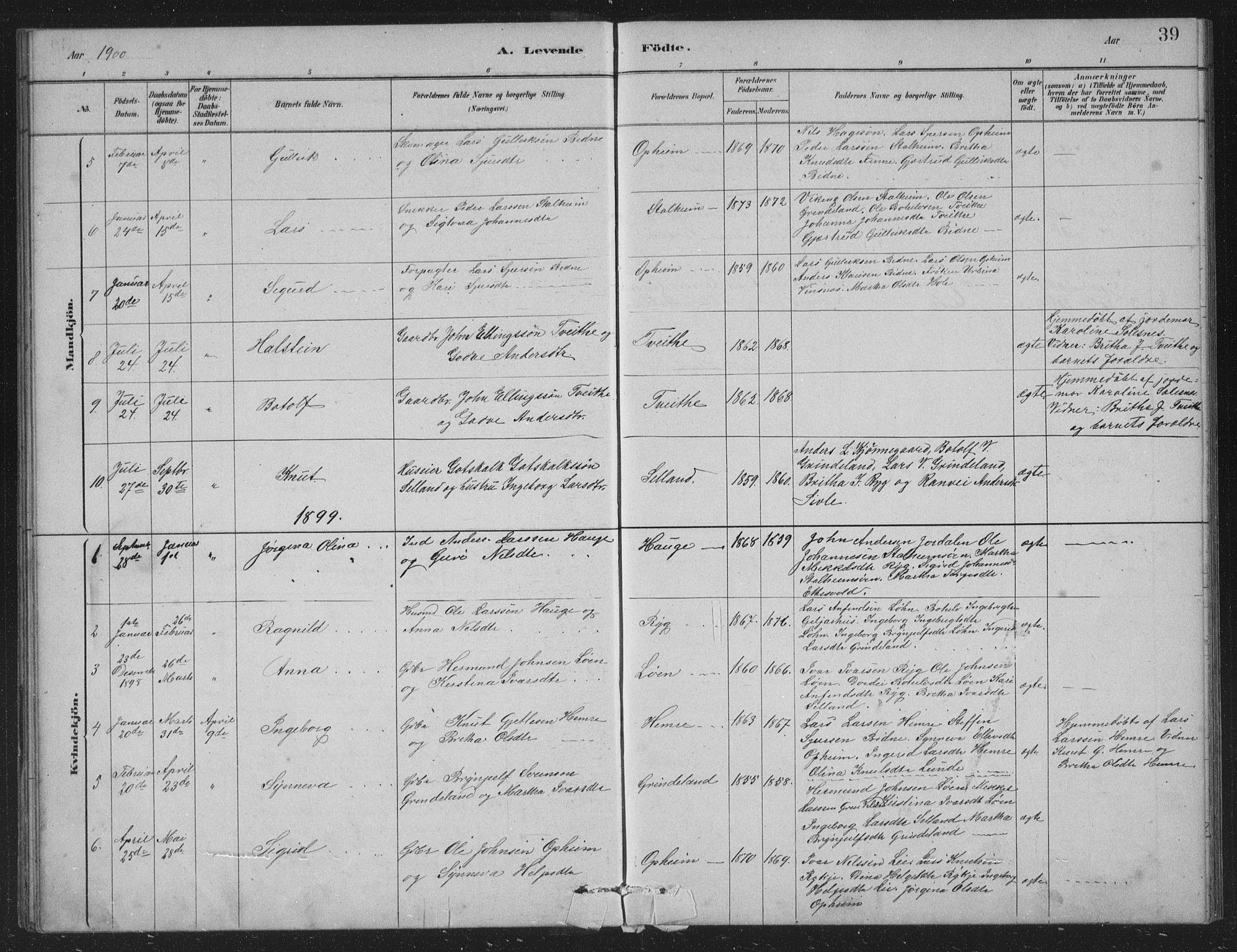 Vossestrand Sokneprestembete, SAB/A-79101/H/Hab: Parish register (copy) no. A 2, 1880-1902, p. 39