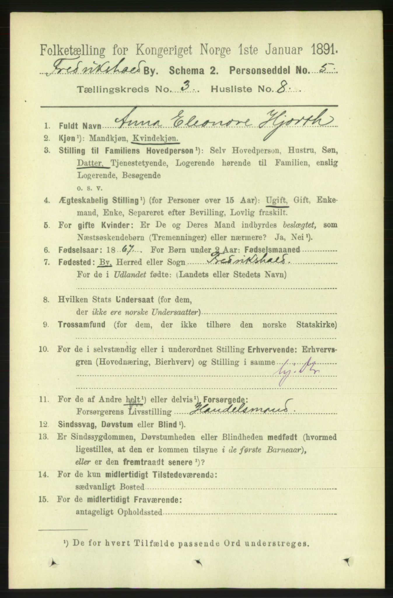 RA, 1891 census for 0101 Fredrikshald, 1891, p. 3336