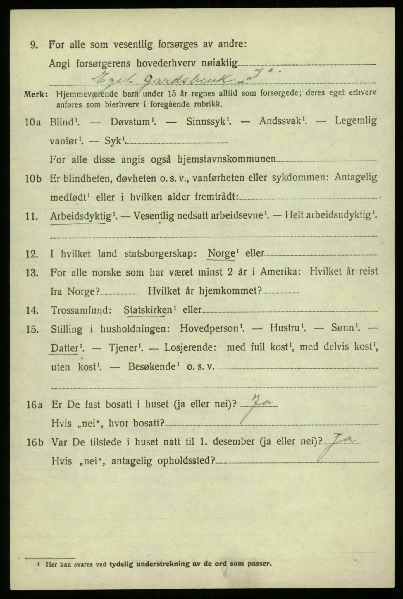 SAB, 1920 census for Hafslo, 1920, p. 2637