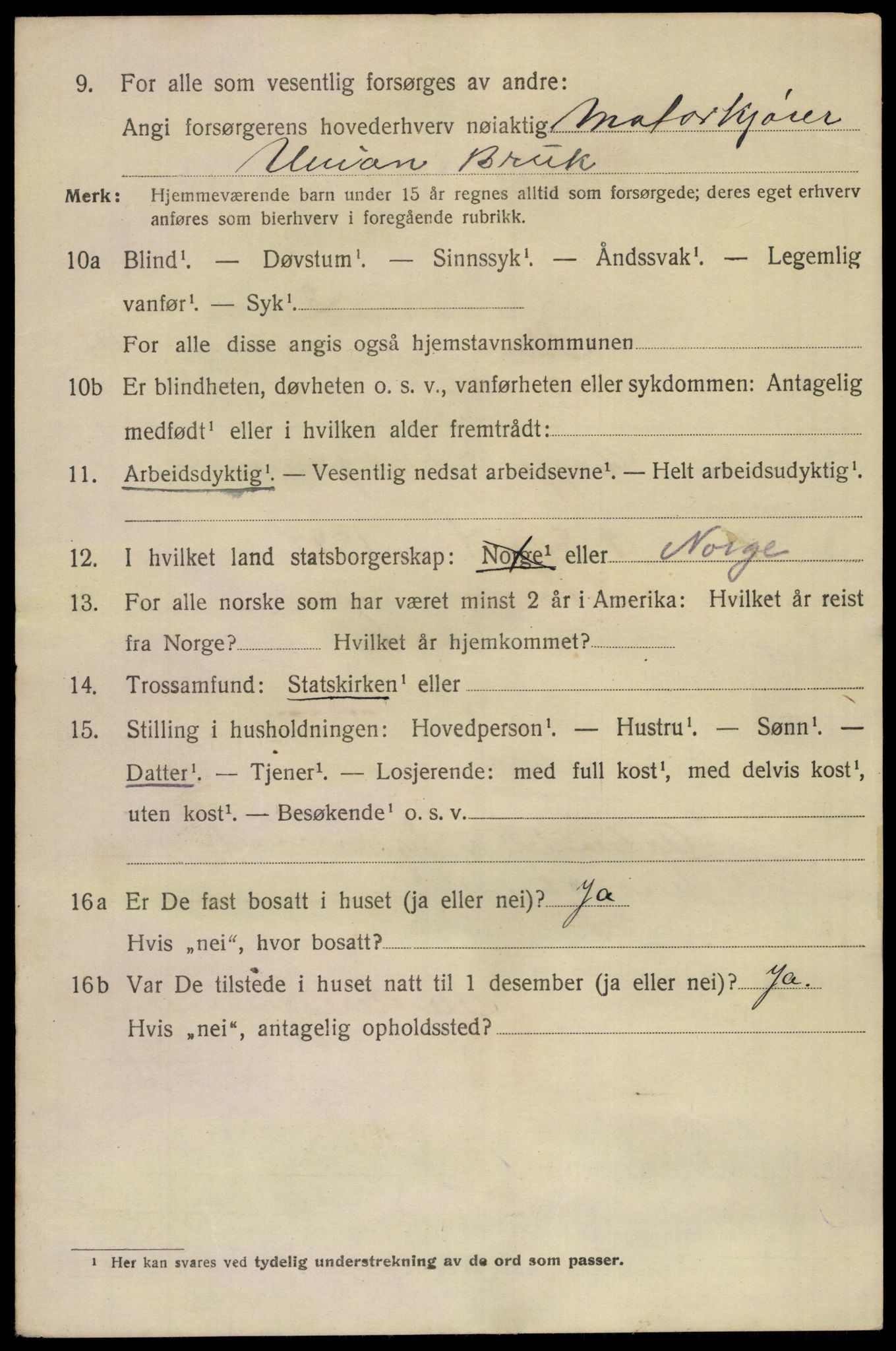 SAKO, 1920 census for Skien, 1920, p. 41507