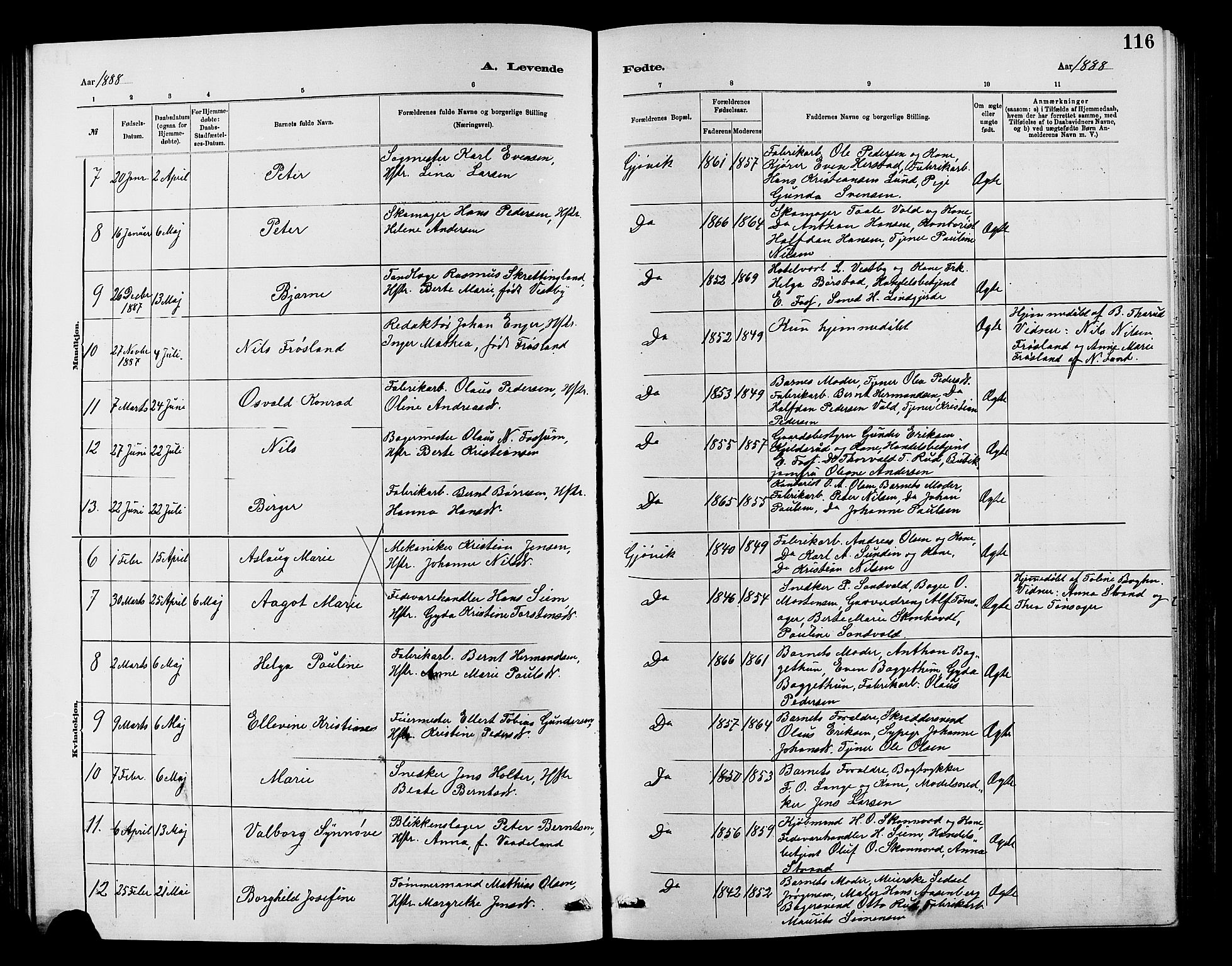 Vardal prestekontor, SAH/PREST-100/H/Ha/Hab/L0007: Parish register (copy) no. 7 /2, 1881-1895, p. 116
